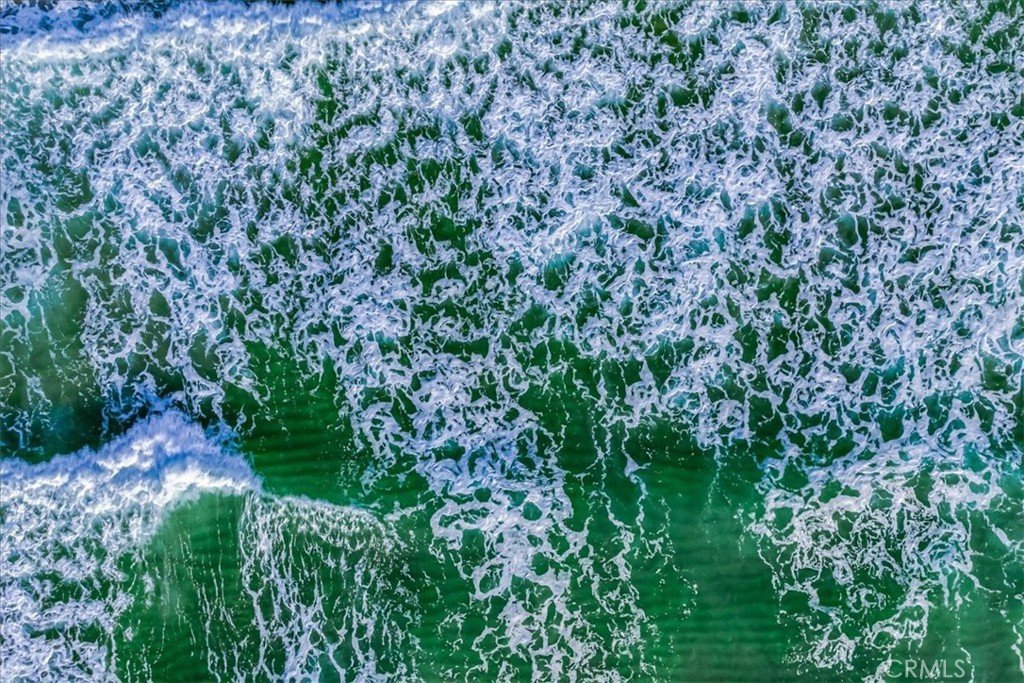 555 Esplanade, Unit 518 Redondo Beach, CA 90277 - Photo 56 of 73 a view of a garden