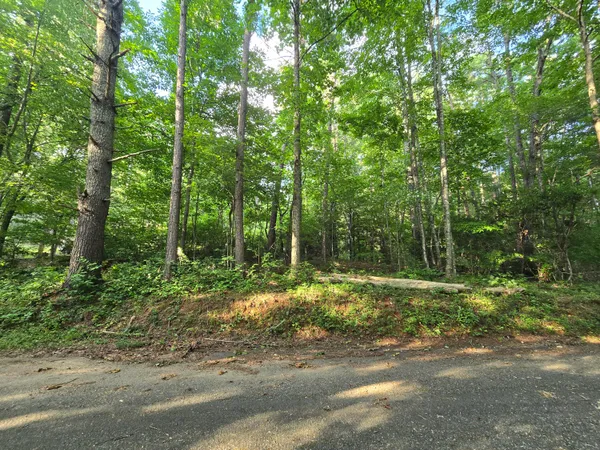 $38,000 | 0 Colwell Church Road, Epworth, GA 30541