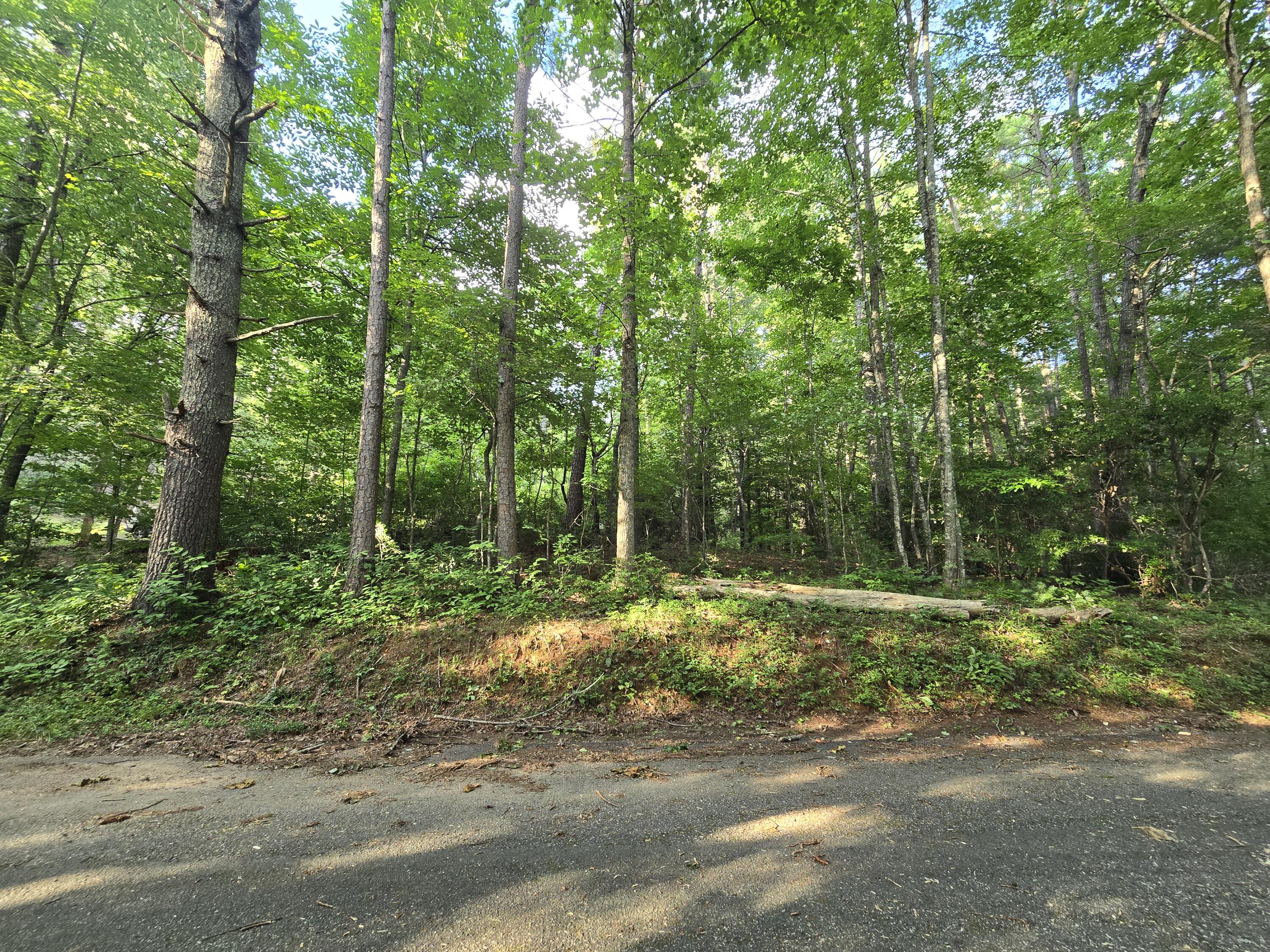 0 Colwell Church Road Epworth, GA 30541 - Photo 1 of 3 20260616_185131