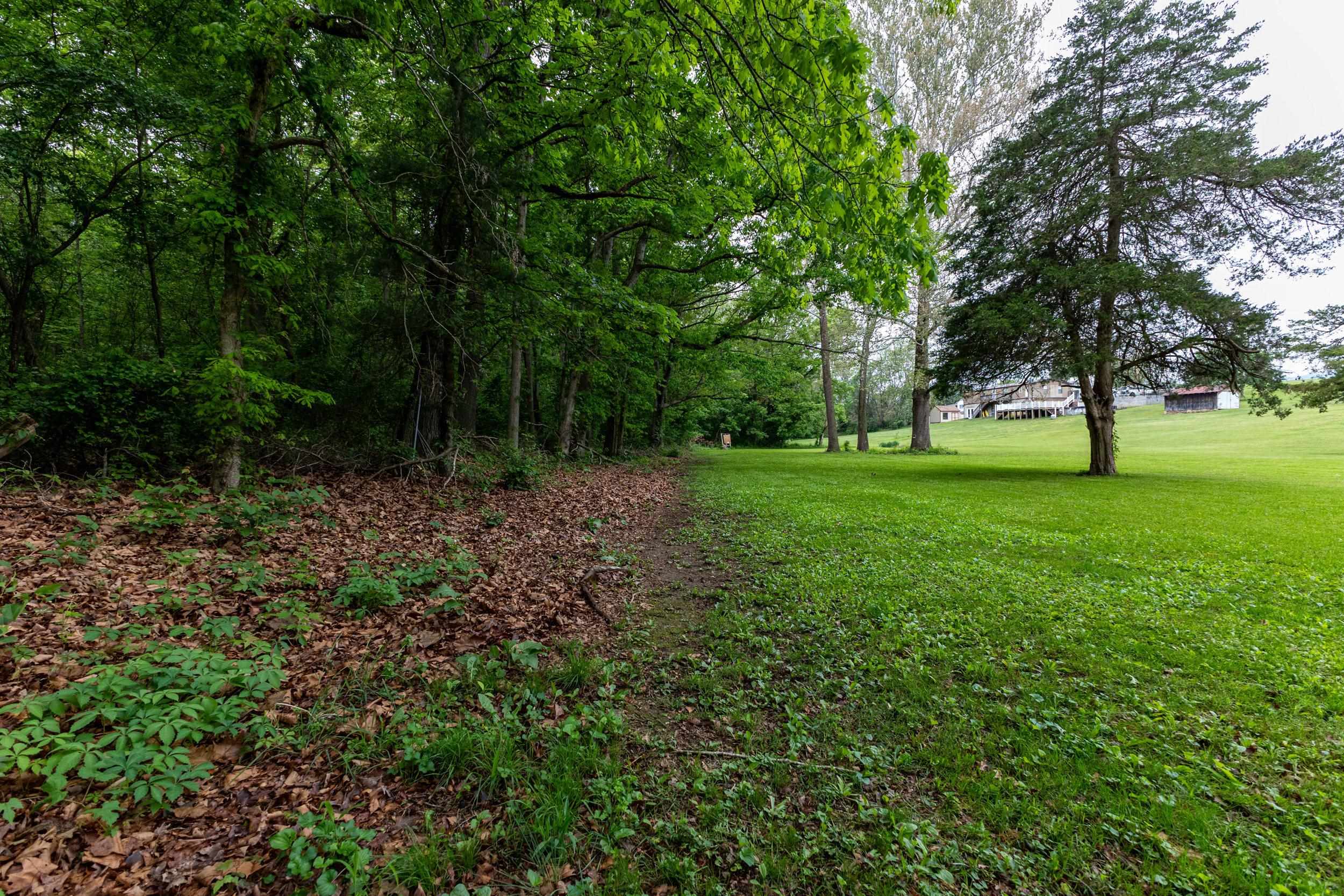 13896 Rockingham Pike Elkton, VA 22827 - Photo 16 of 60 a view of grassy field with trees
