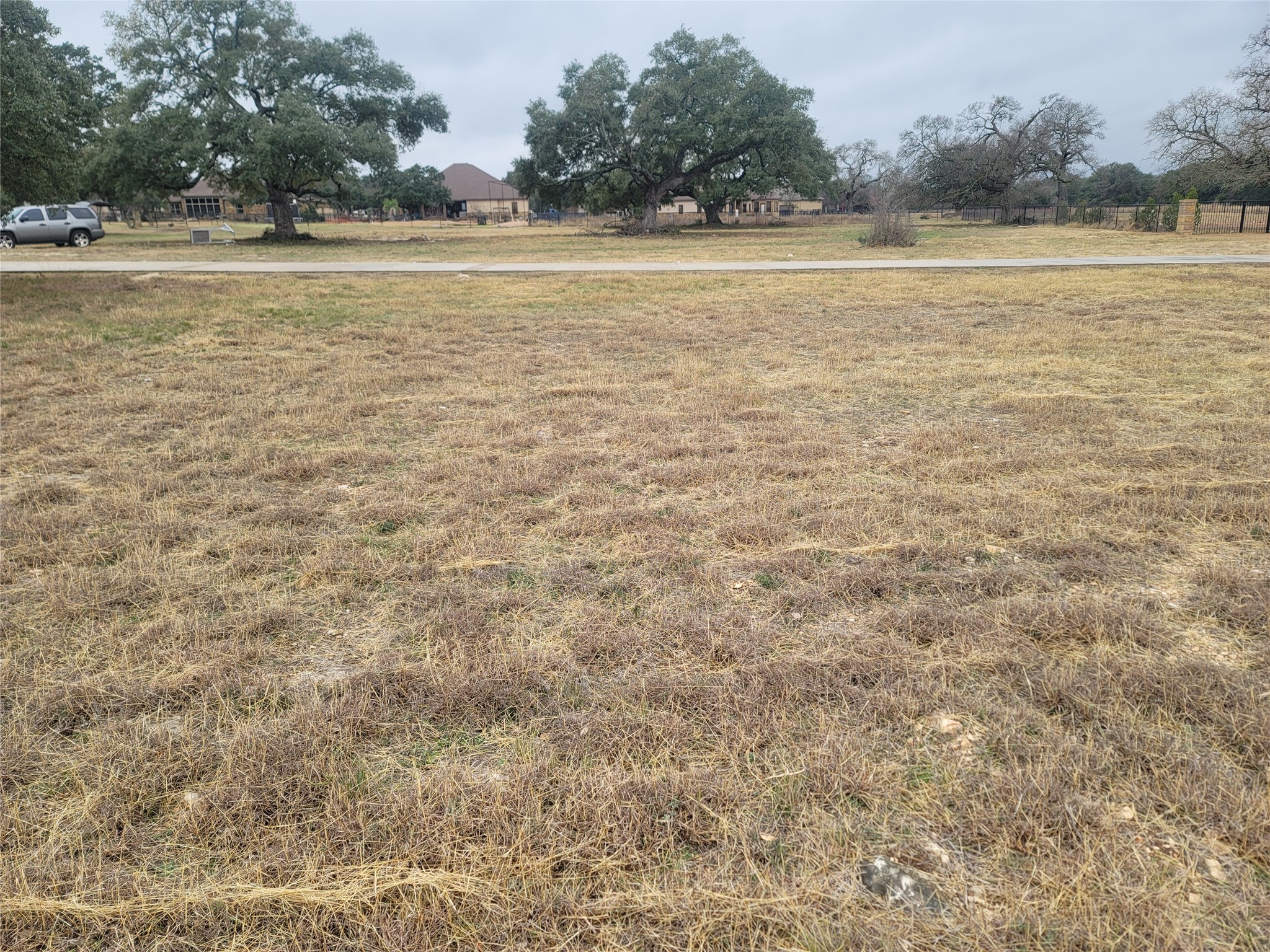 104 Gabgrove Court Georgetown, TX 78633 - Photo 3 of 11 The property features an expansive lot with a natural grass surface and several mature trees