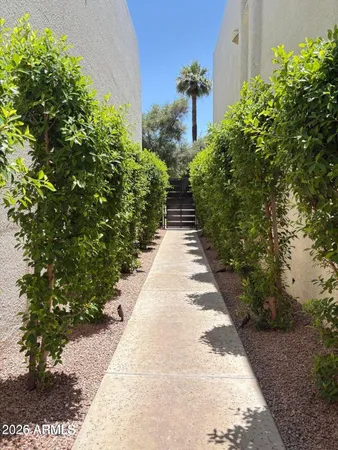 a view of a pathway with a yard