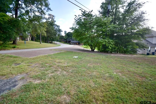 a view of a field with trees in the background
