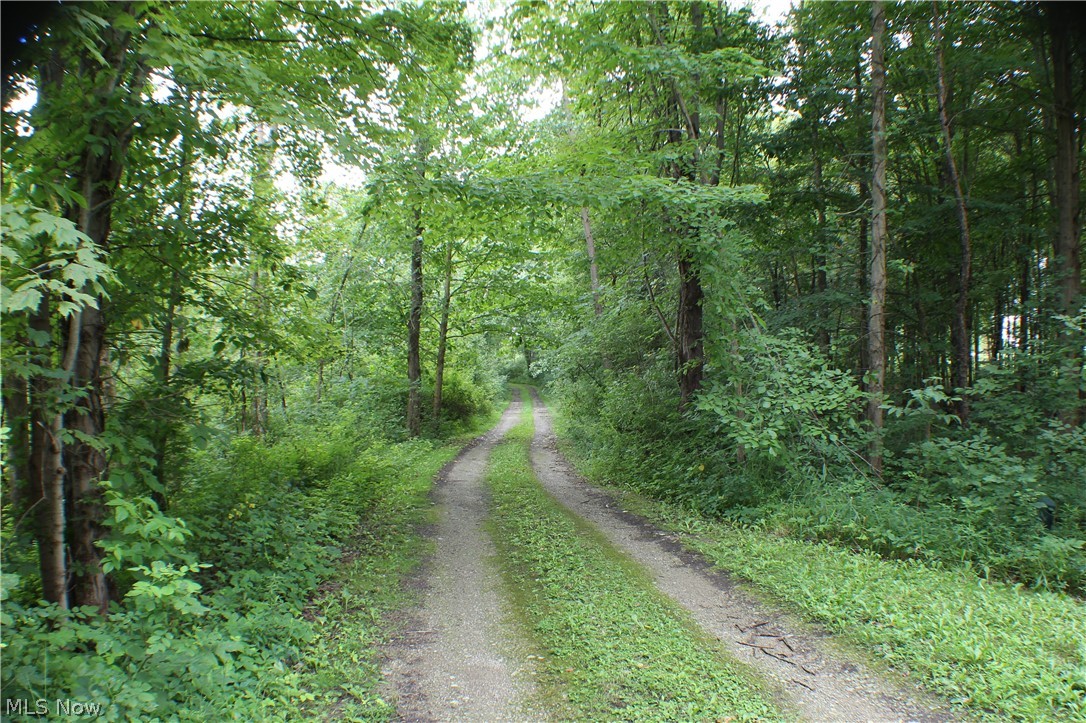 2825 Fixler Road Medina, OH 44256 - Photo 7 of 35 Gallery Image 7