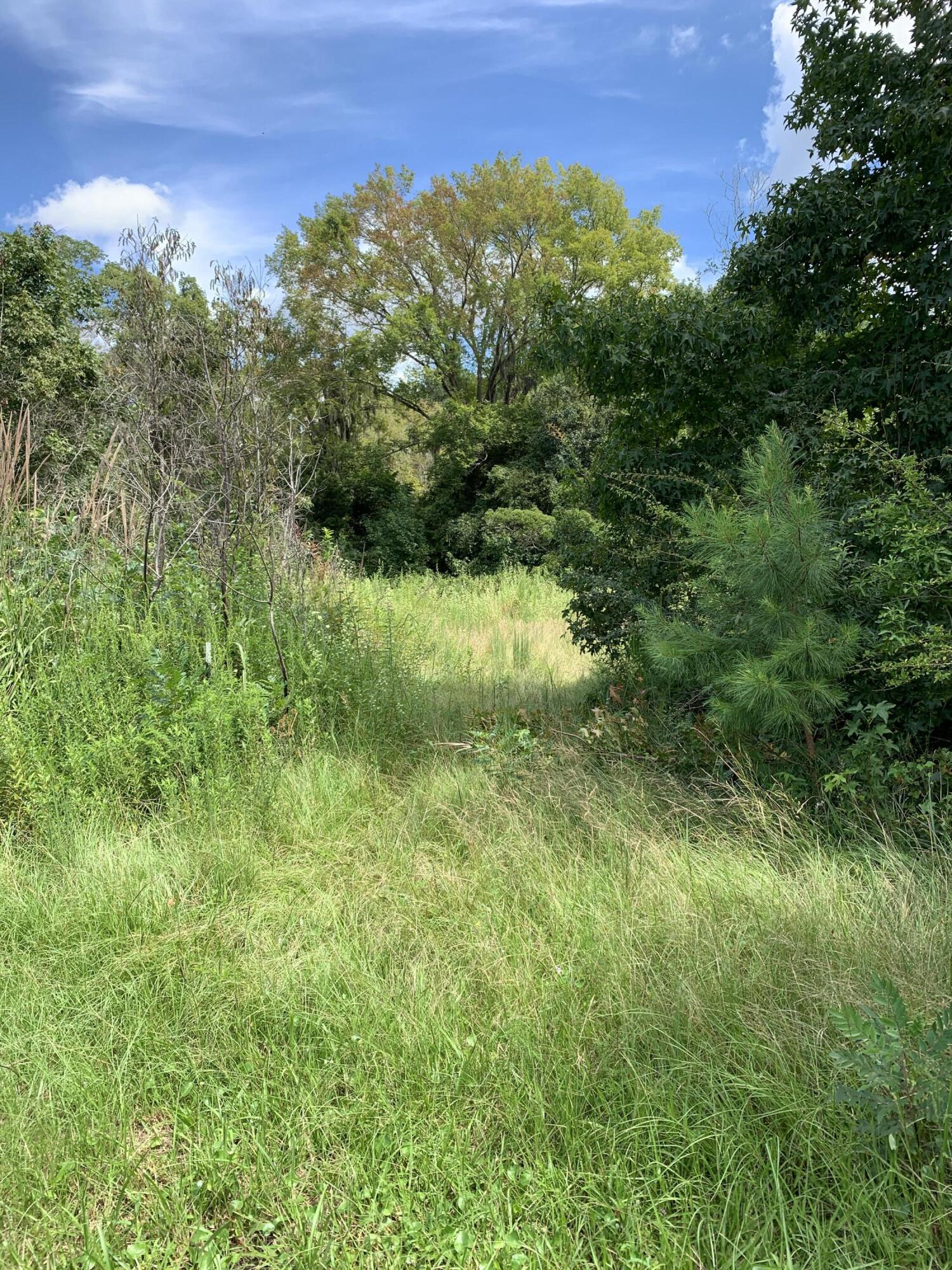 0 Big Creek Road Edisto Island, SC 29438 - Photo 2 of 9 IMG_1204