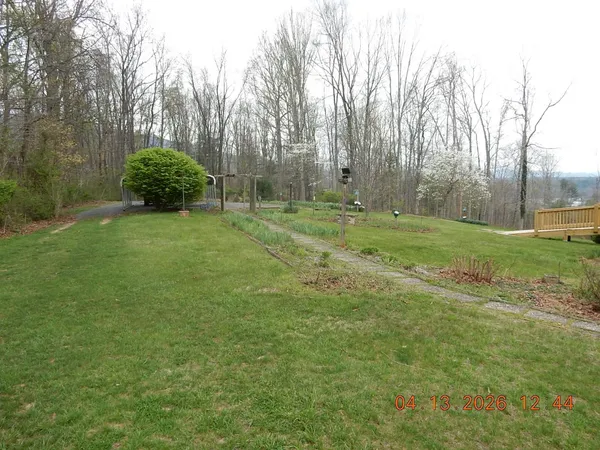a big yard with lots of green space and trees