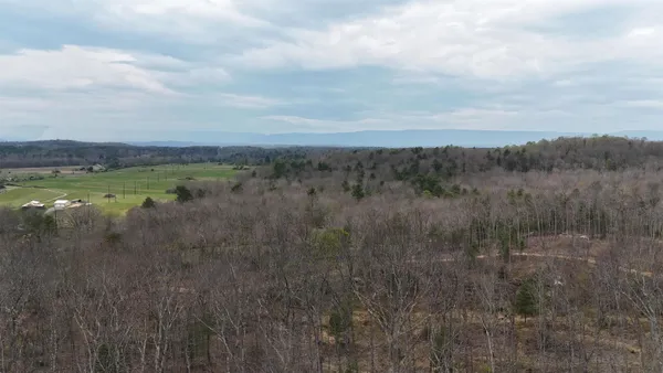 a view of a field with trees in the background