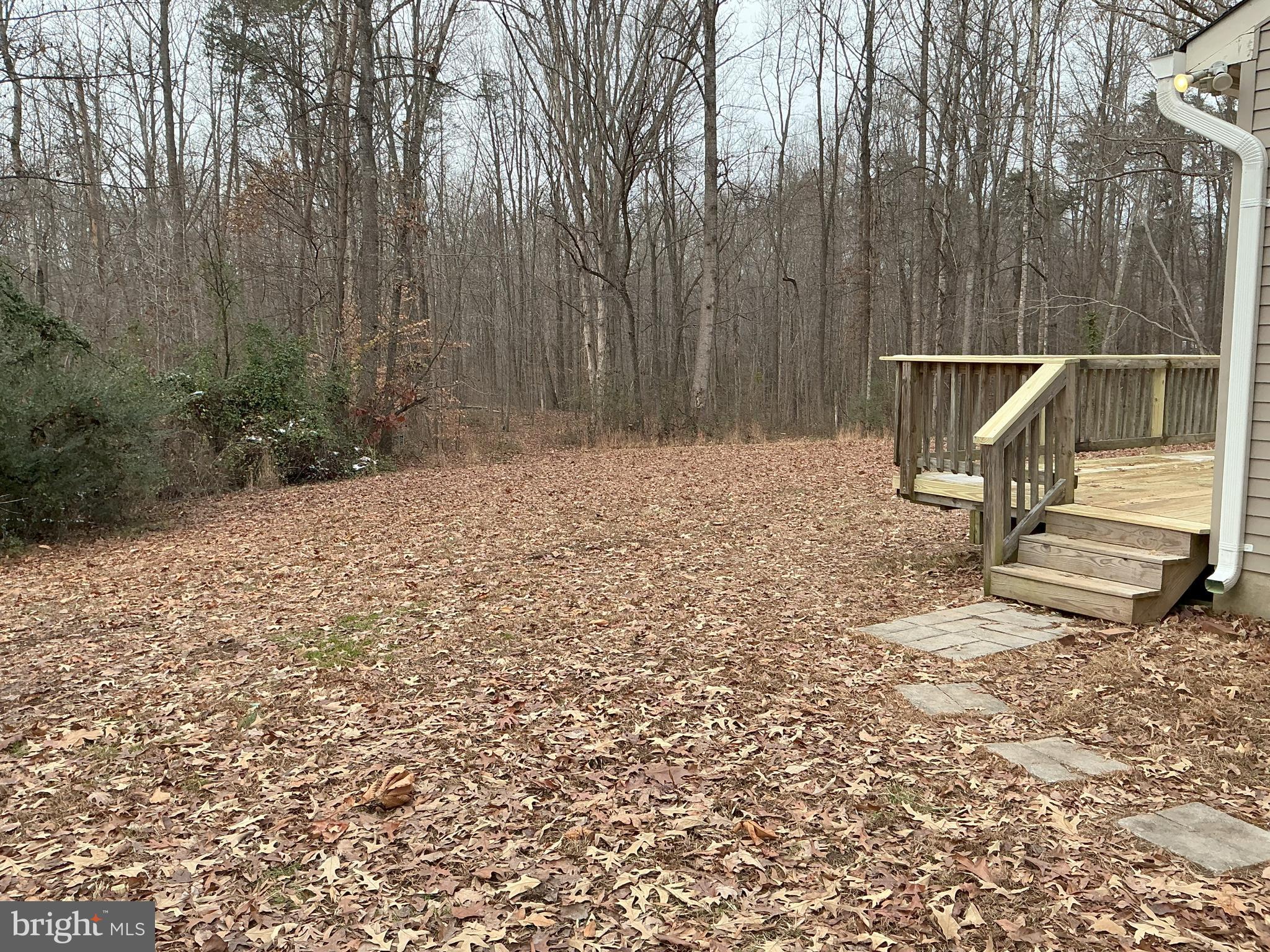 3232 Winding Road Partlow, VA 22534 - Photo 12 of 14