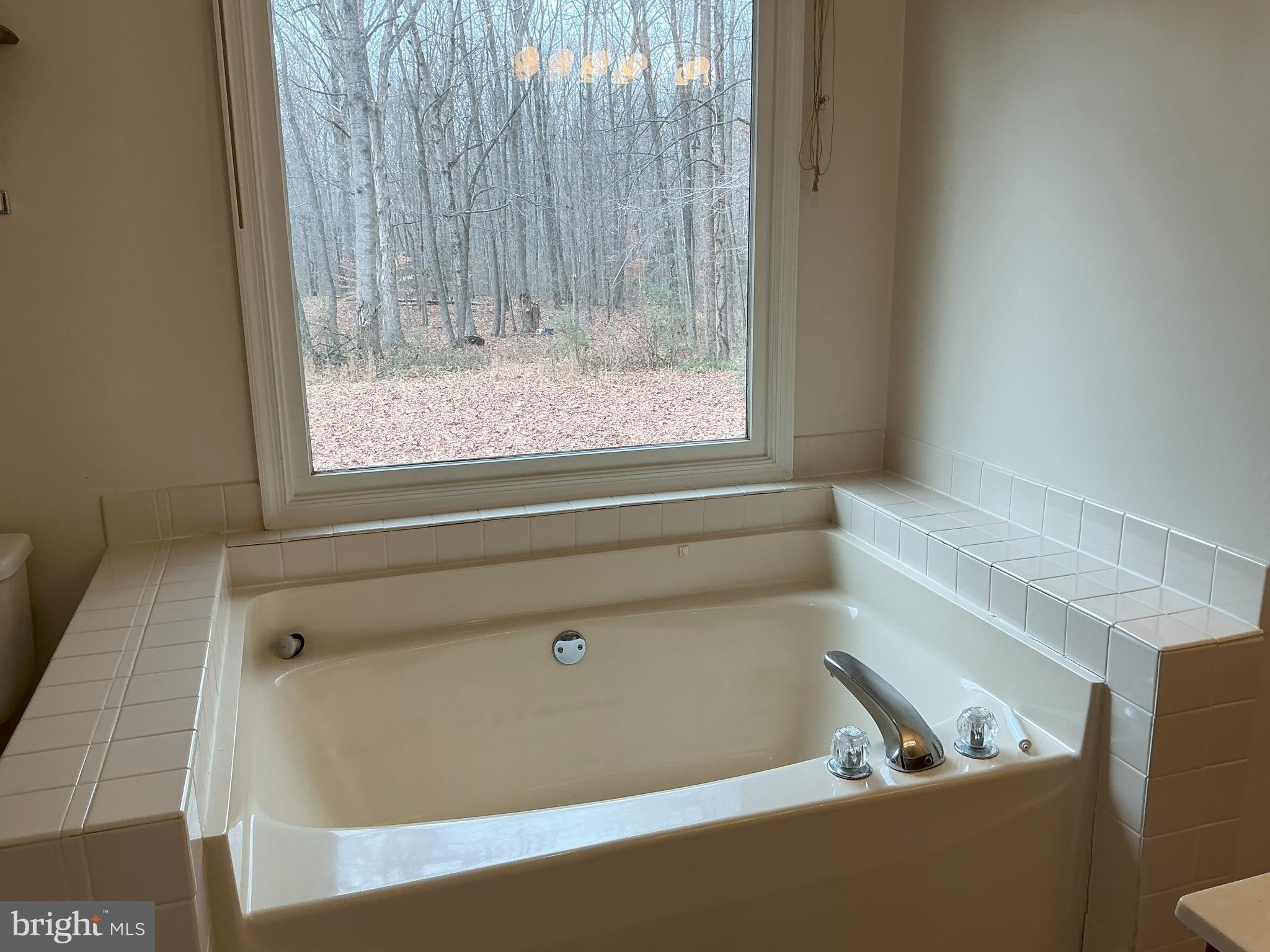 3232 Winding Road Partlow, VA 22534 - Photo 9 of 14