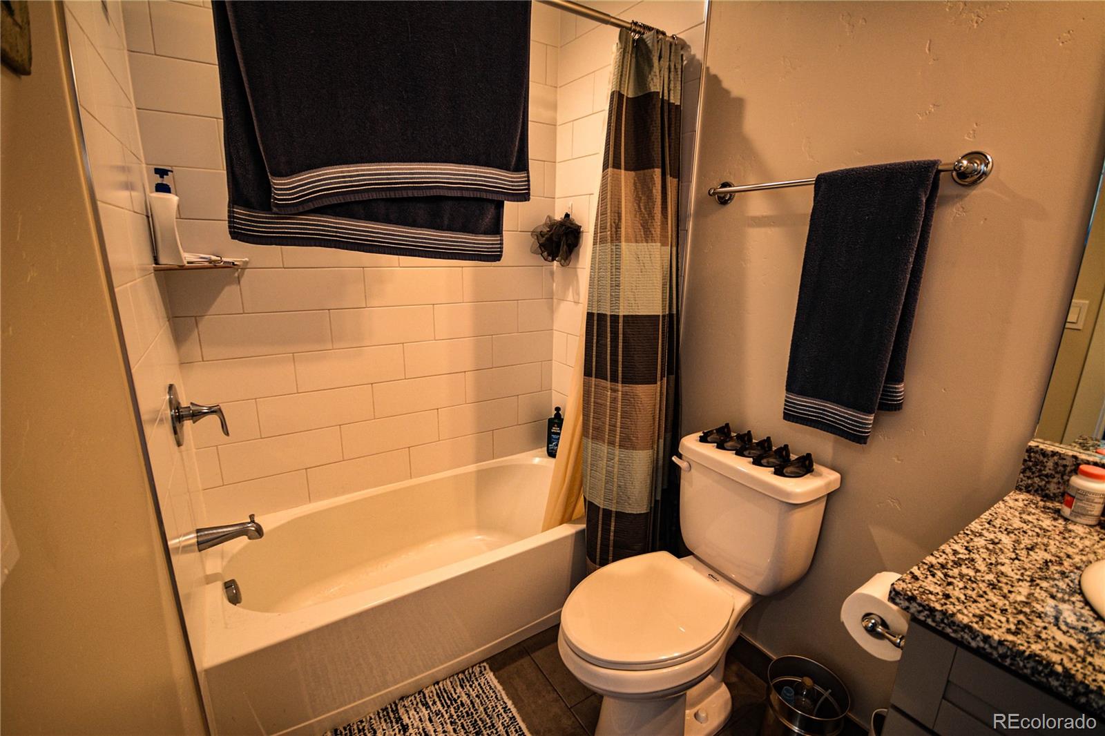 247 Smith Ranch Road Silverthorne, CO 80498 - Photo 10 of 19 Gallery Image 10