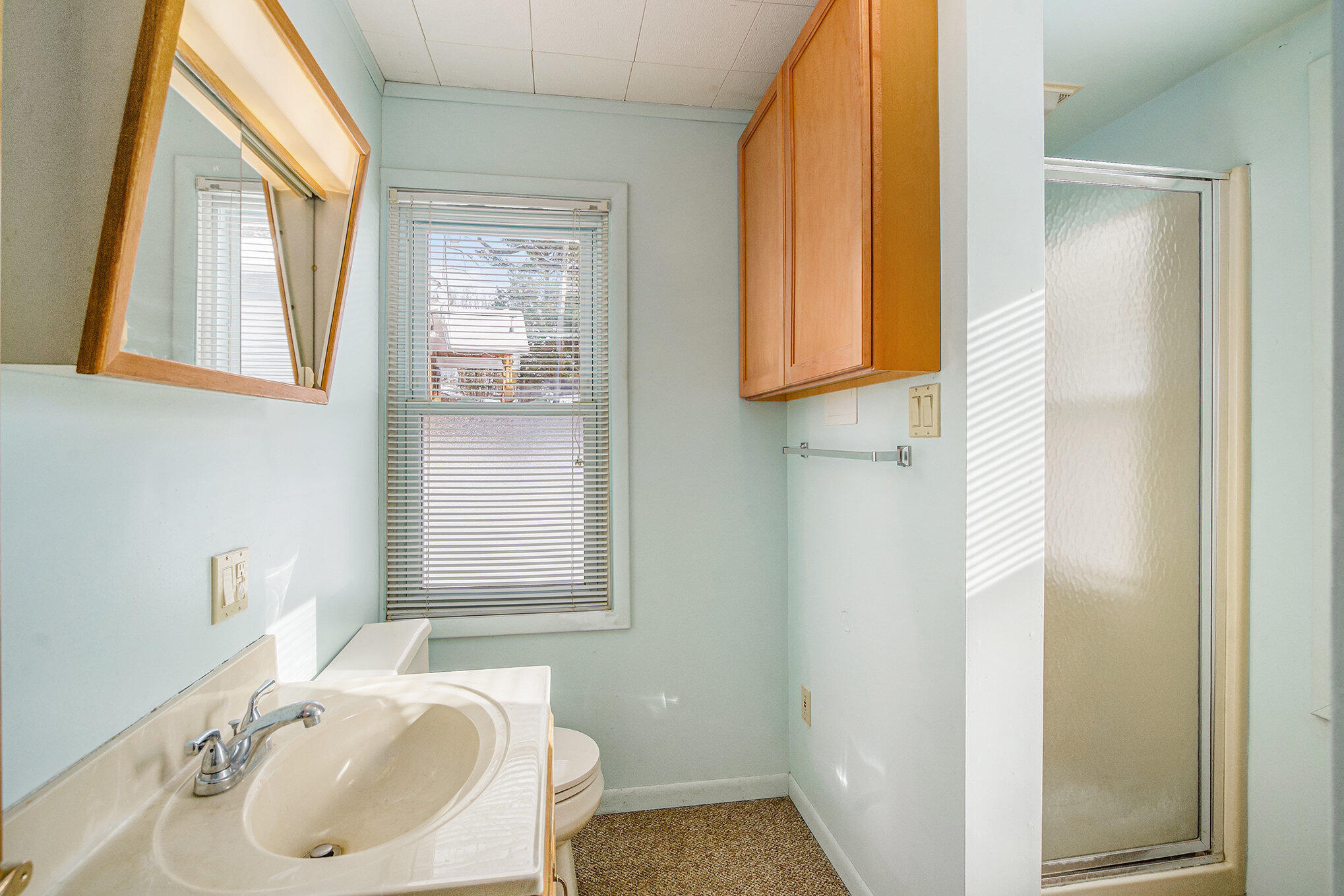 66 Cedar Lake Road Chelsea, MI 48118 - Photo 14 of 21 013_dsc08696_909