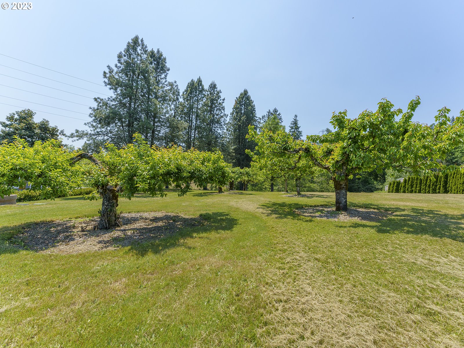 25552 Southwest Newland Road Wilsonville, OR 97070 - Photo 42 of 48 Garden