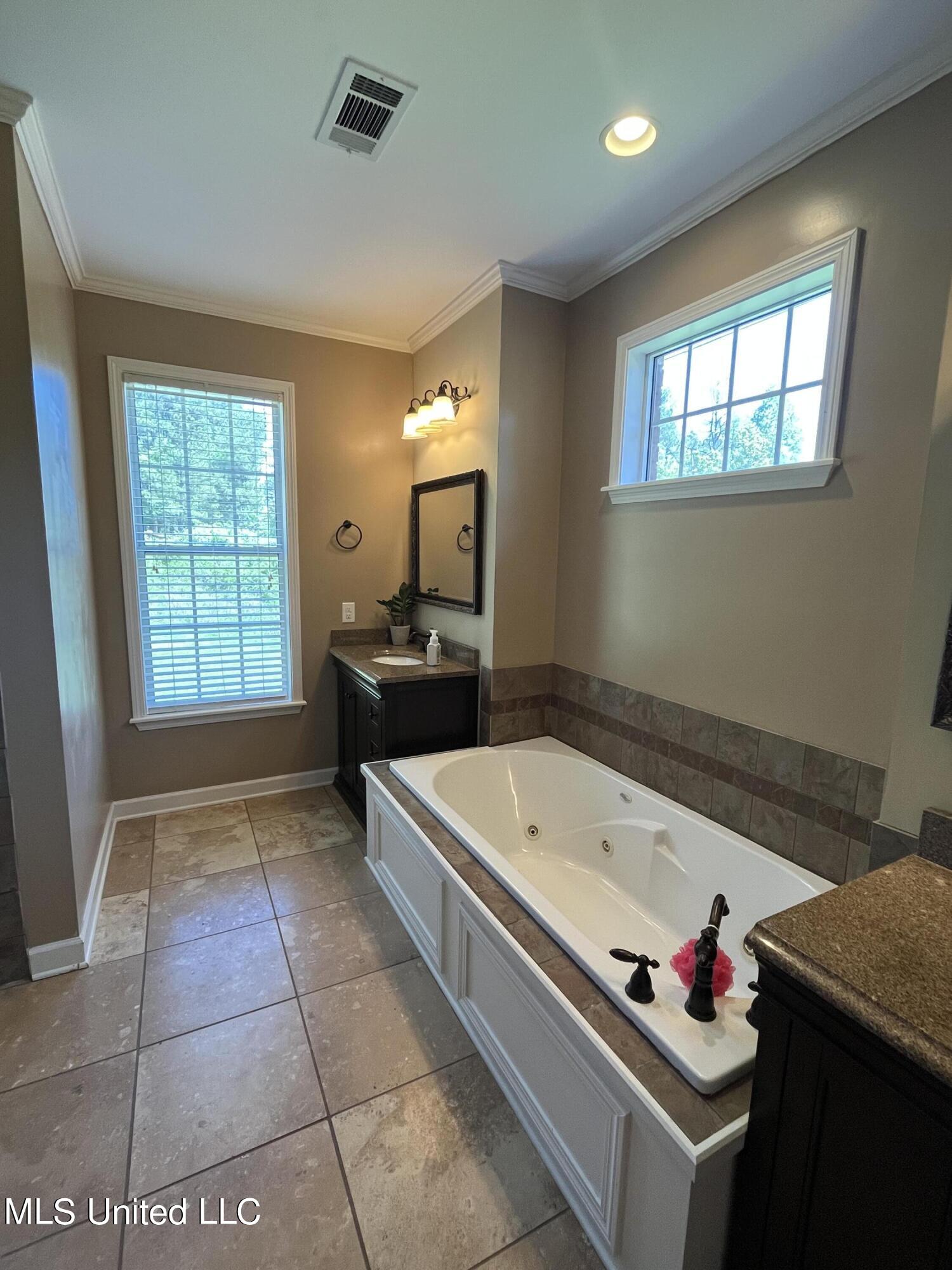 178 Joiner Road Batesville, MS 38606 - Photo 15 of 38 Primary bath pic 4