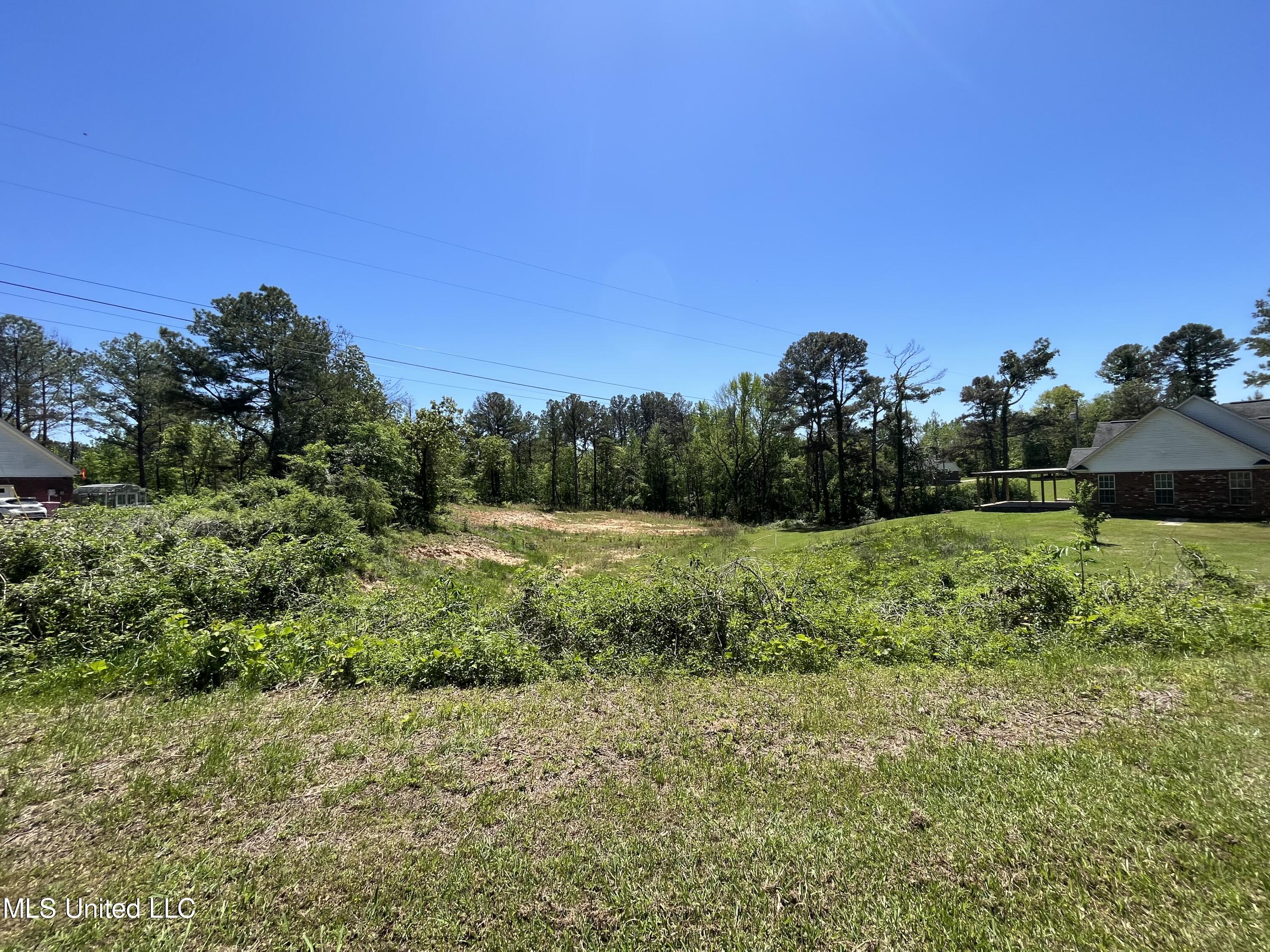 178 Joiner Road Batesville, MS 38606 - Photo 33 of 38 Sideview pic 1