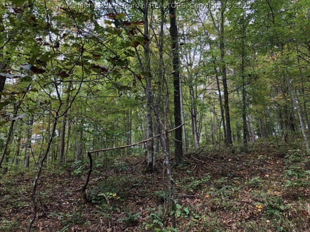 0 First Creek Road Ripley, WV 25271 - Photo 10 of 20 Gallery Image 10