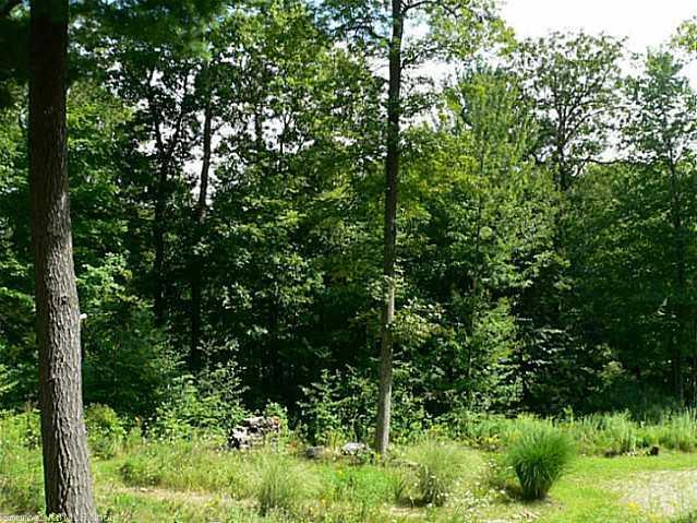 140 Whitcomb Hill Road Cornwall, CT 06754 - Photo 1 of 1 a view of a lush green forest