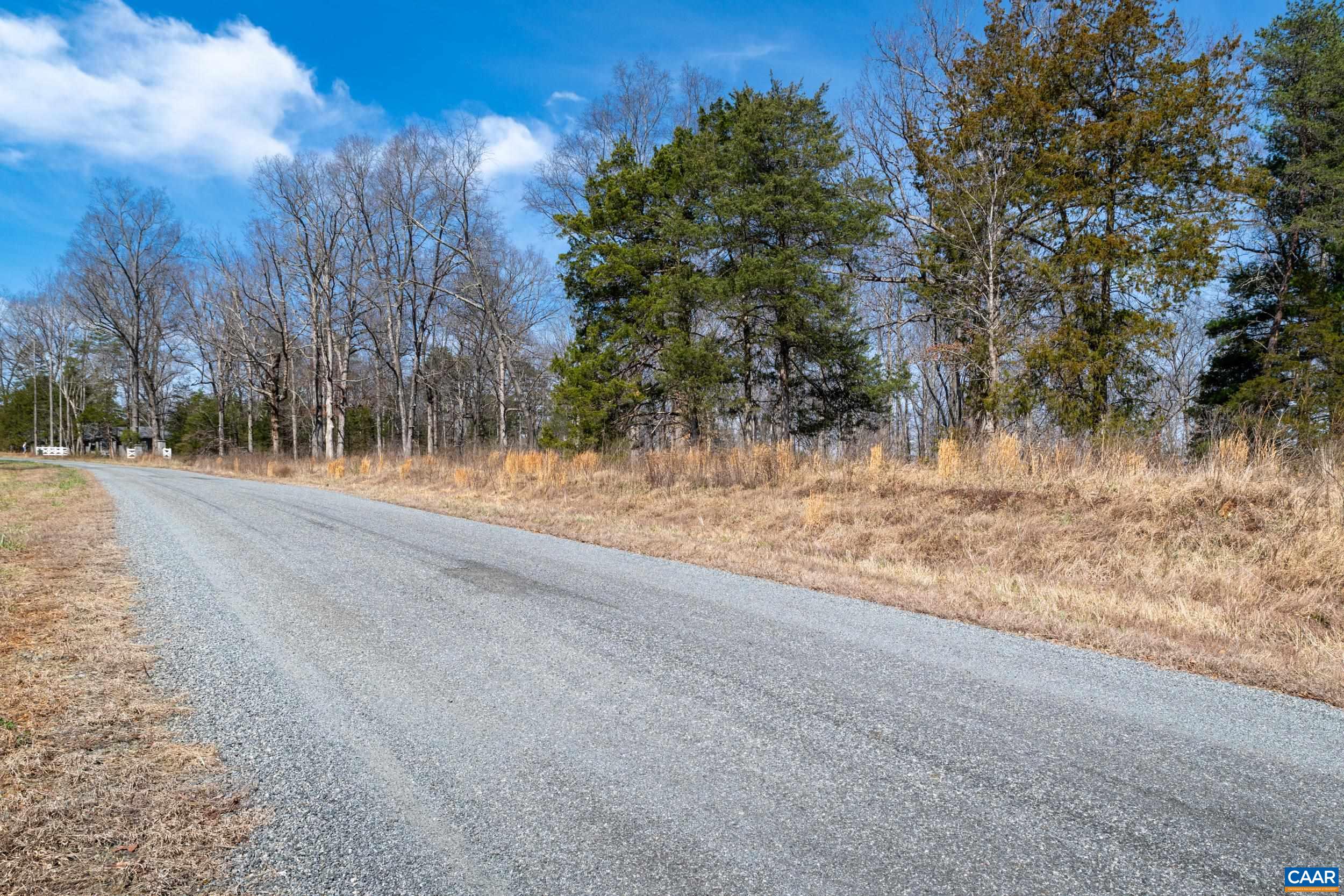 0 Narrows Way Ruckersville, VA 22968 - Photo 13 of 24