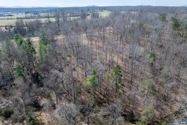 a view of a lake with a mountain and trees