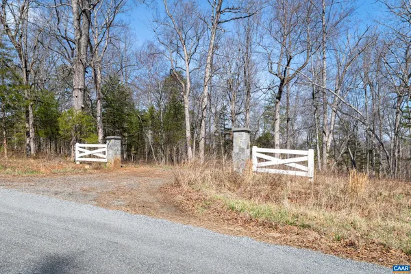 a view of yard with tree