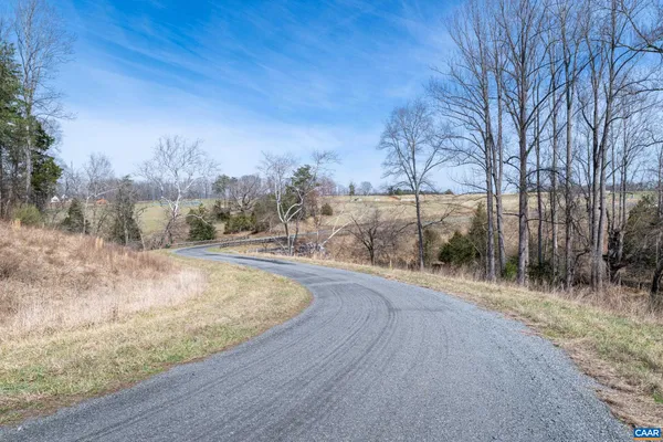 a view of a dry yard with trees