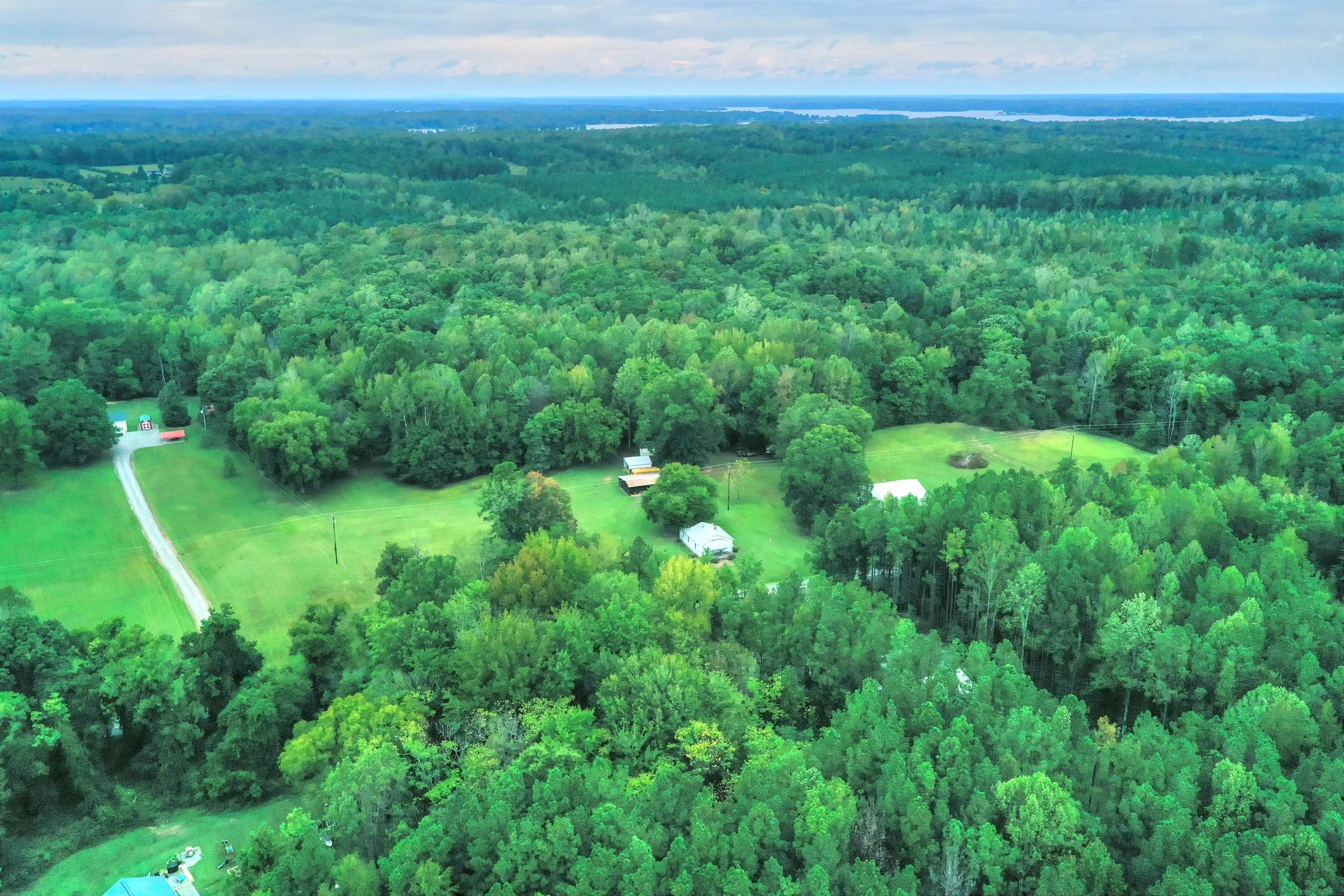 2635 Bumpass Road Bumpass, VA 23024 - Photo 12 of 38 a view of an green field with plants and large trees