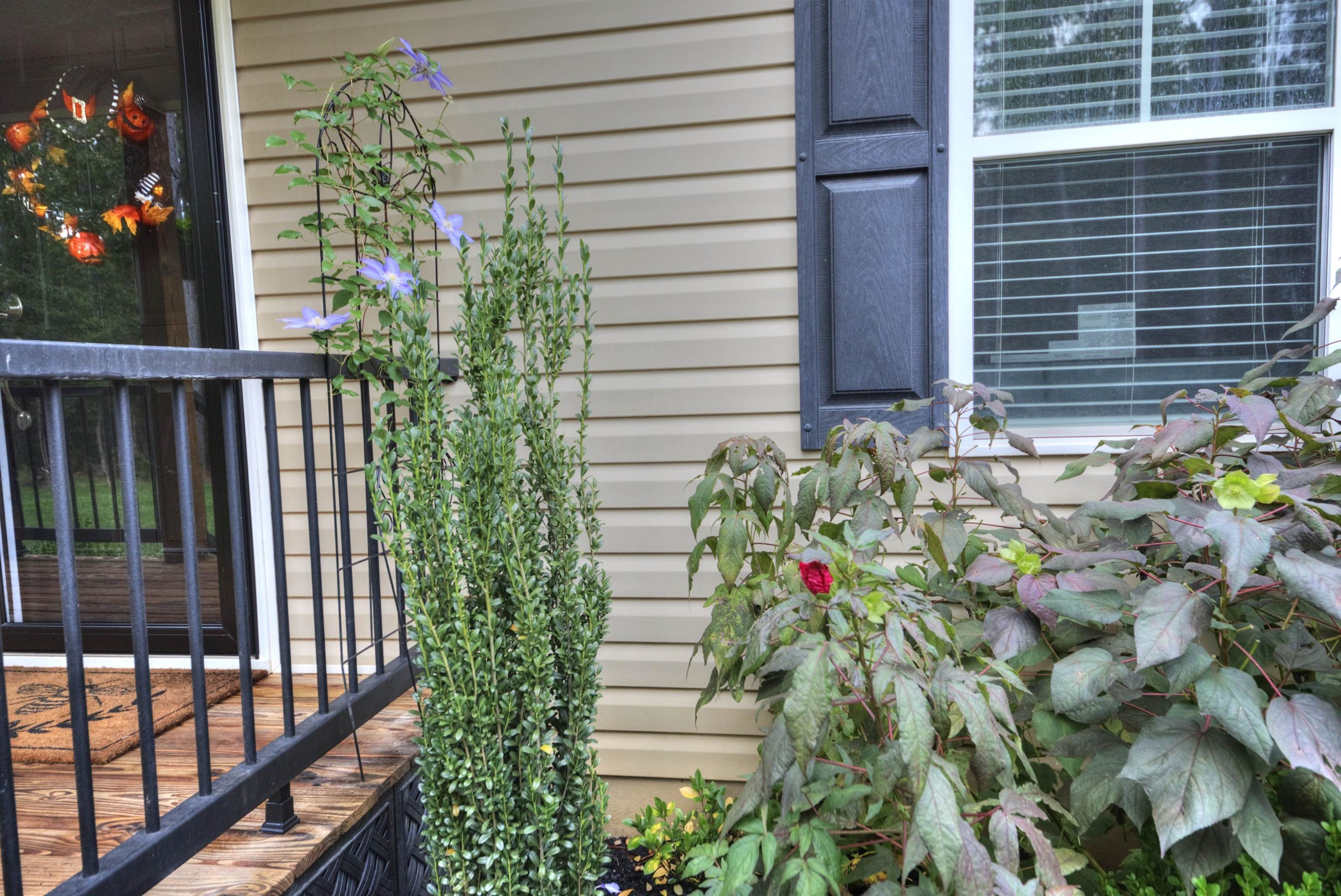 2635 Bumpass Road Bumpass, VA 23024 - Photo 20 of 38 a bunch of flowers in front of a house