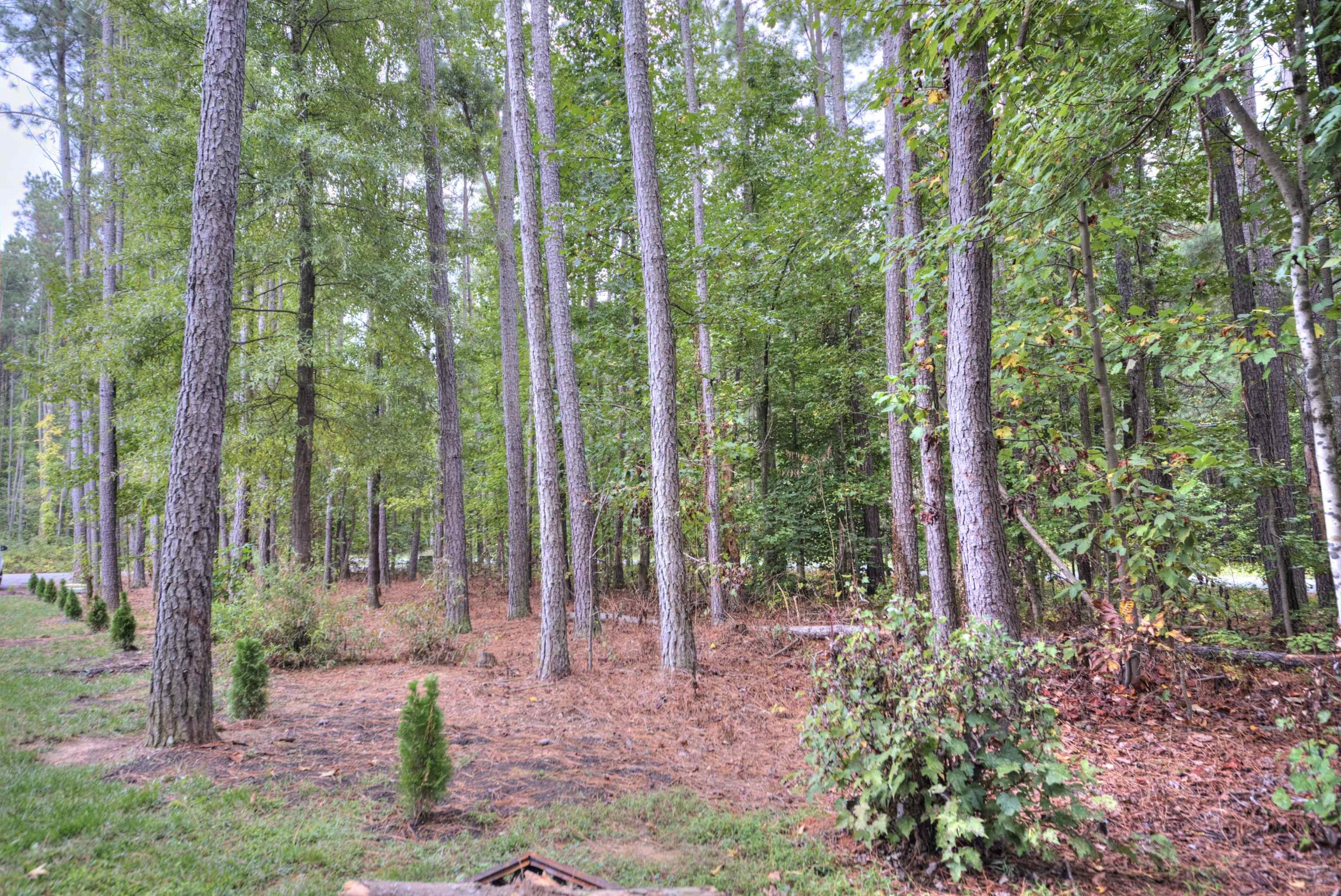 2635 Bumpass Road Bumpass, VA 23024 - Photo 38 of 38 a view of outdoor space with lots of green trees