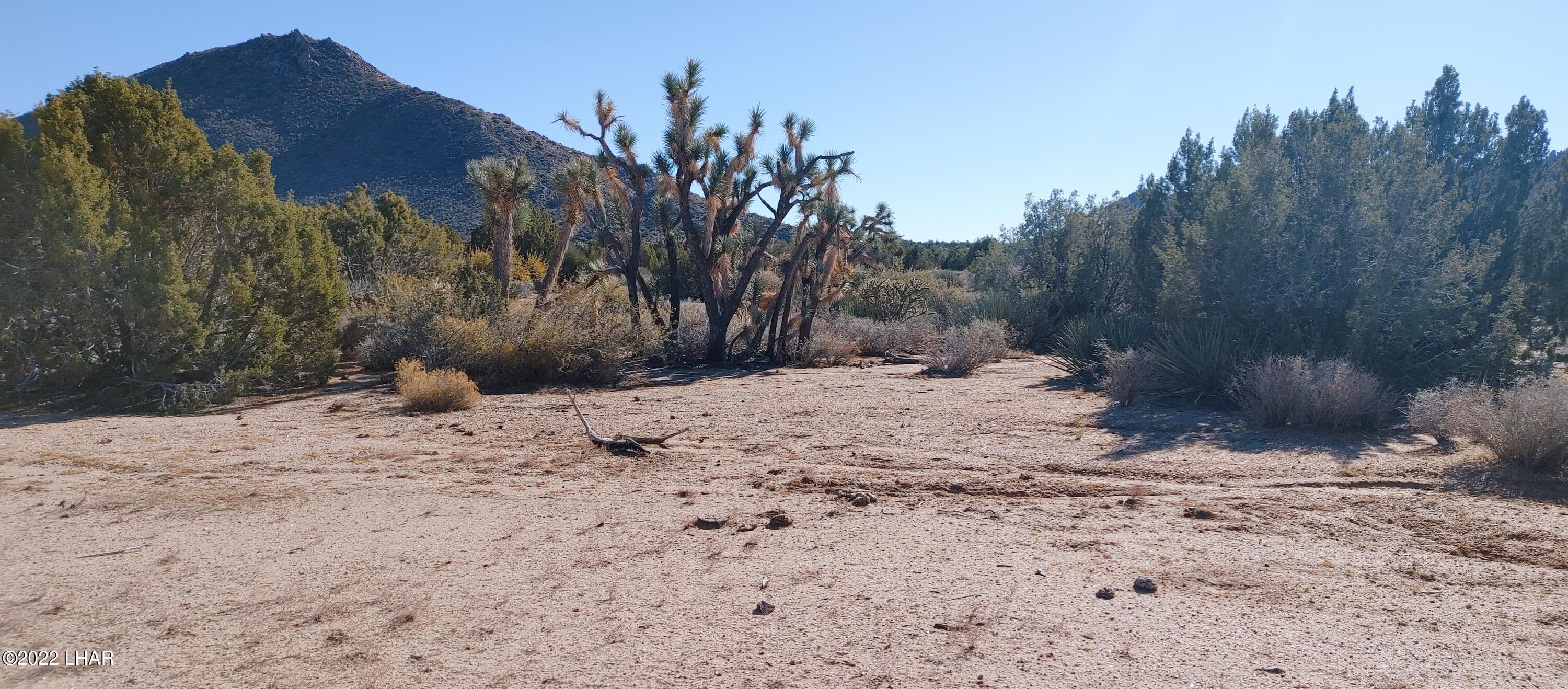 3289 South Gold Mine Road Yucca, AZ 86438 - Photo 11 of 74 Graded building site