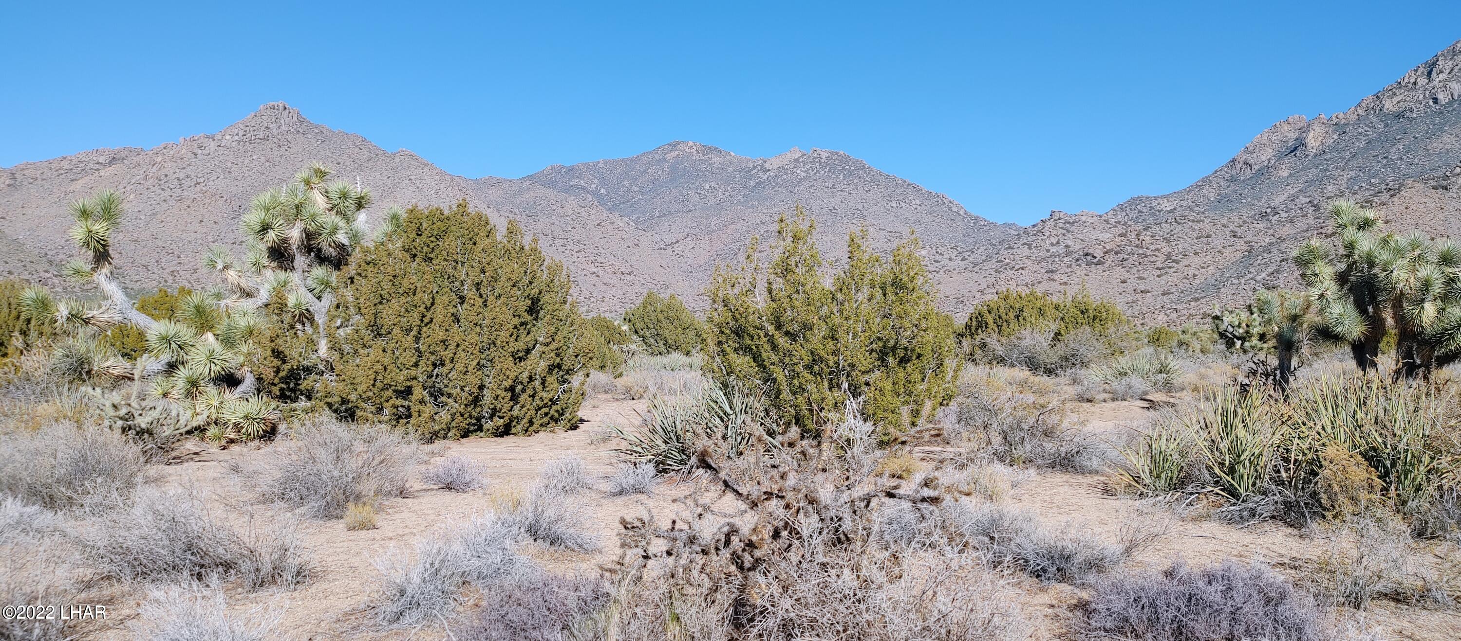3289 South Gold Mine Road Yucca, AZ 86438 - Photo 3 of 74 1210221348