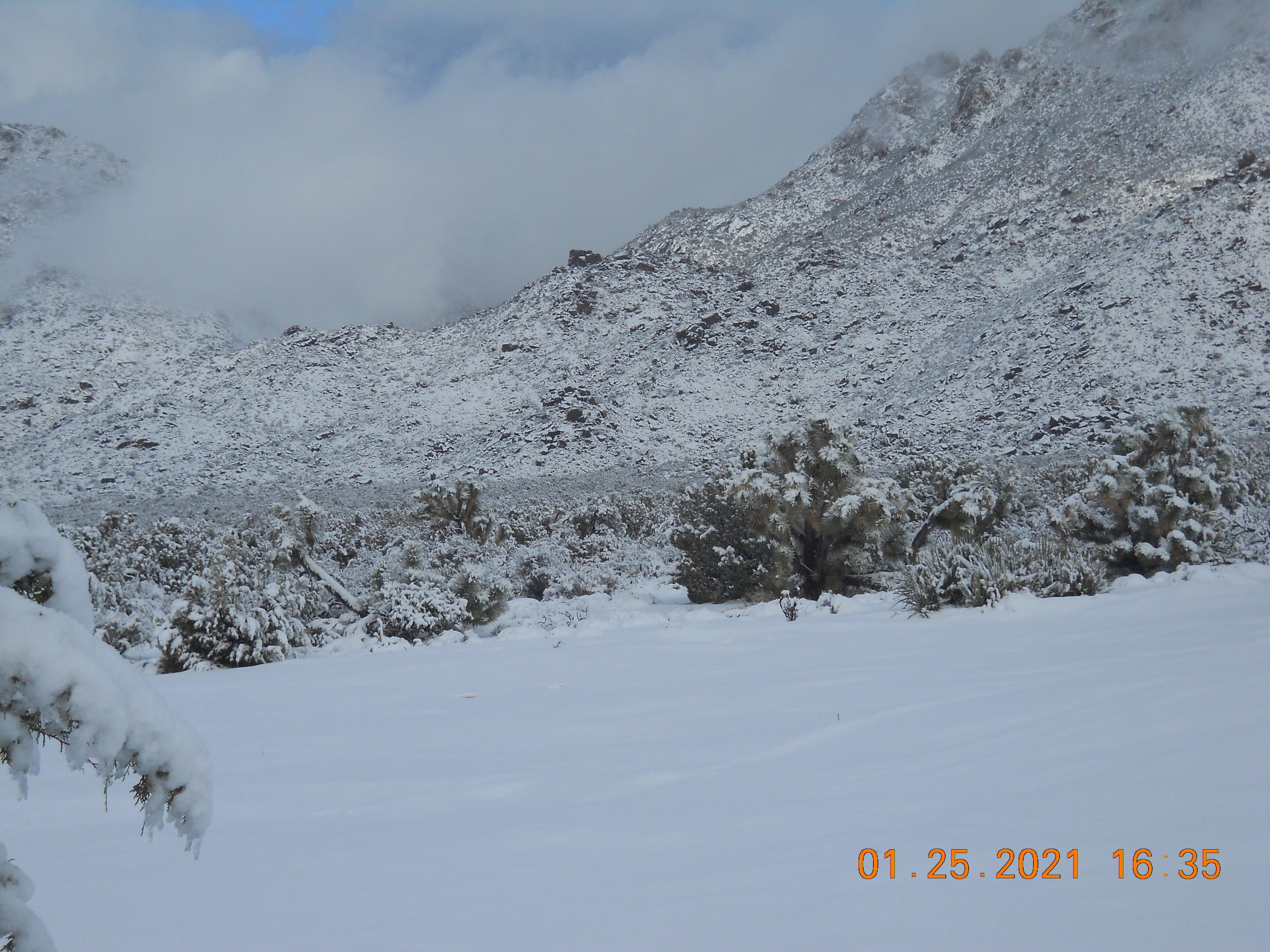 3289 South Gold Mine Road Yucca, AZ 86438 - Photo 31 of 74 January Snowfall on property