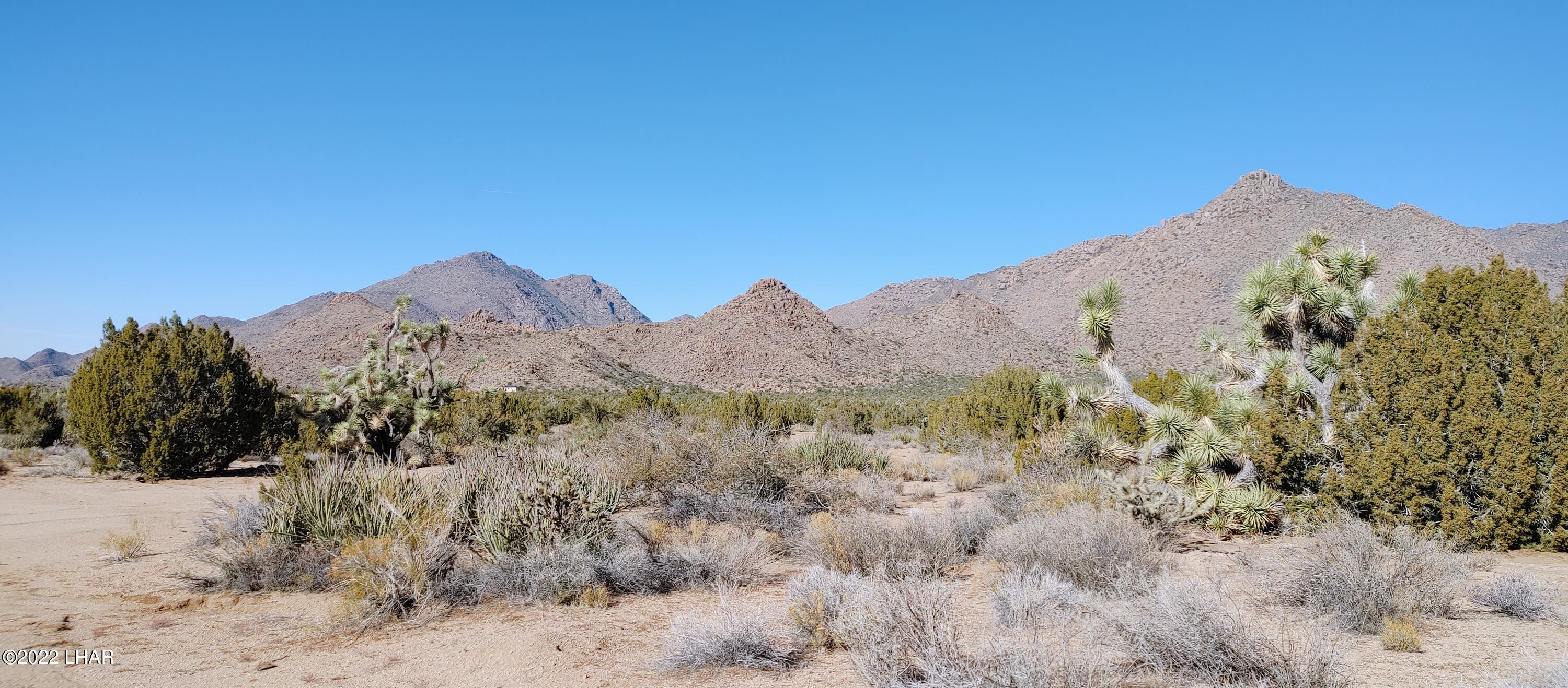 3289 South Gold Mine Road Yucca, AZ 86438 - Photo 43 of 74 1210221348a
