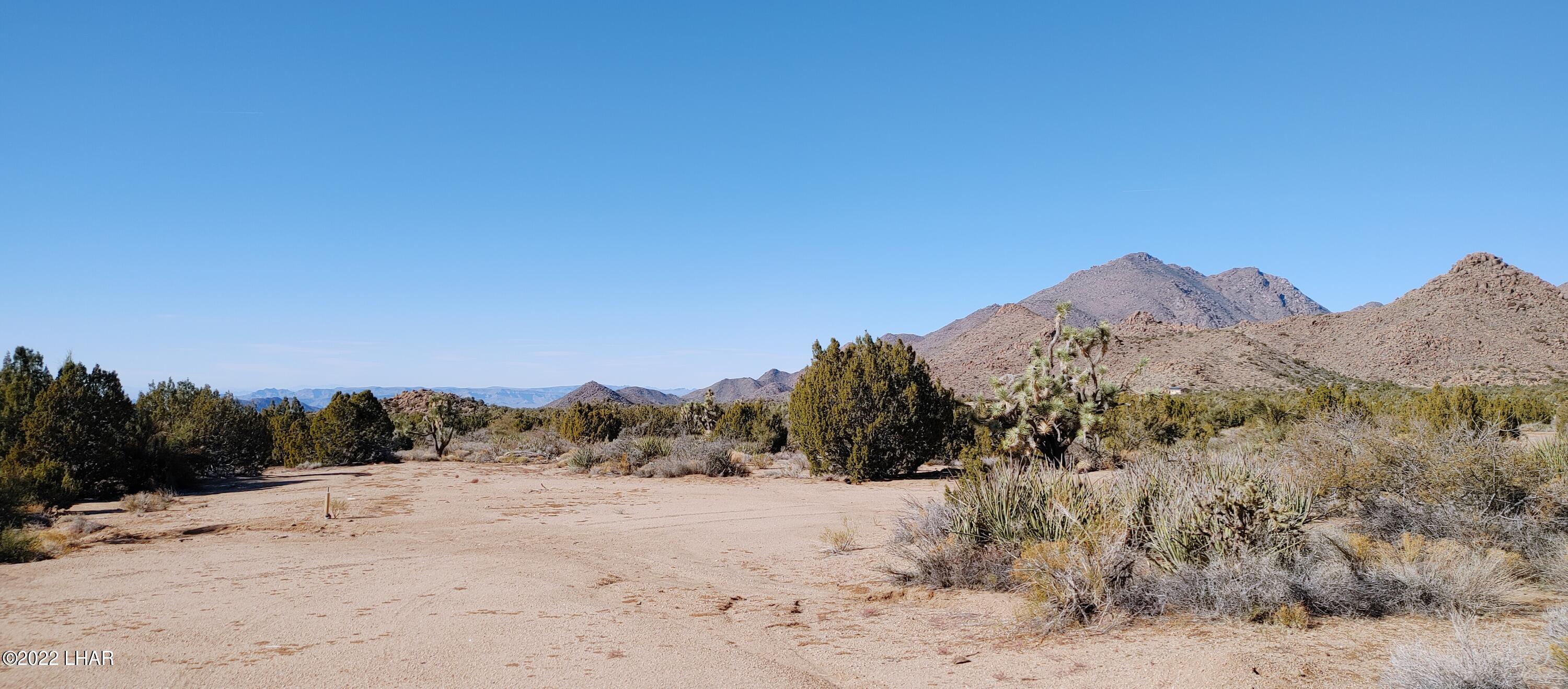 3289 South Gold Mine Road Yucca, AZ 86438 - Photo 44 of 74 1210221348b