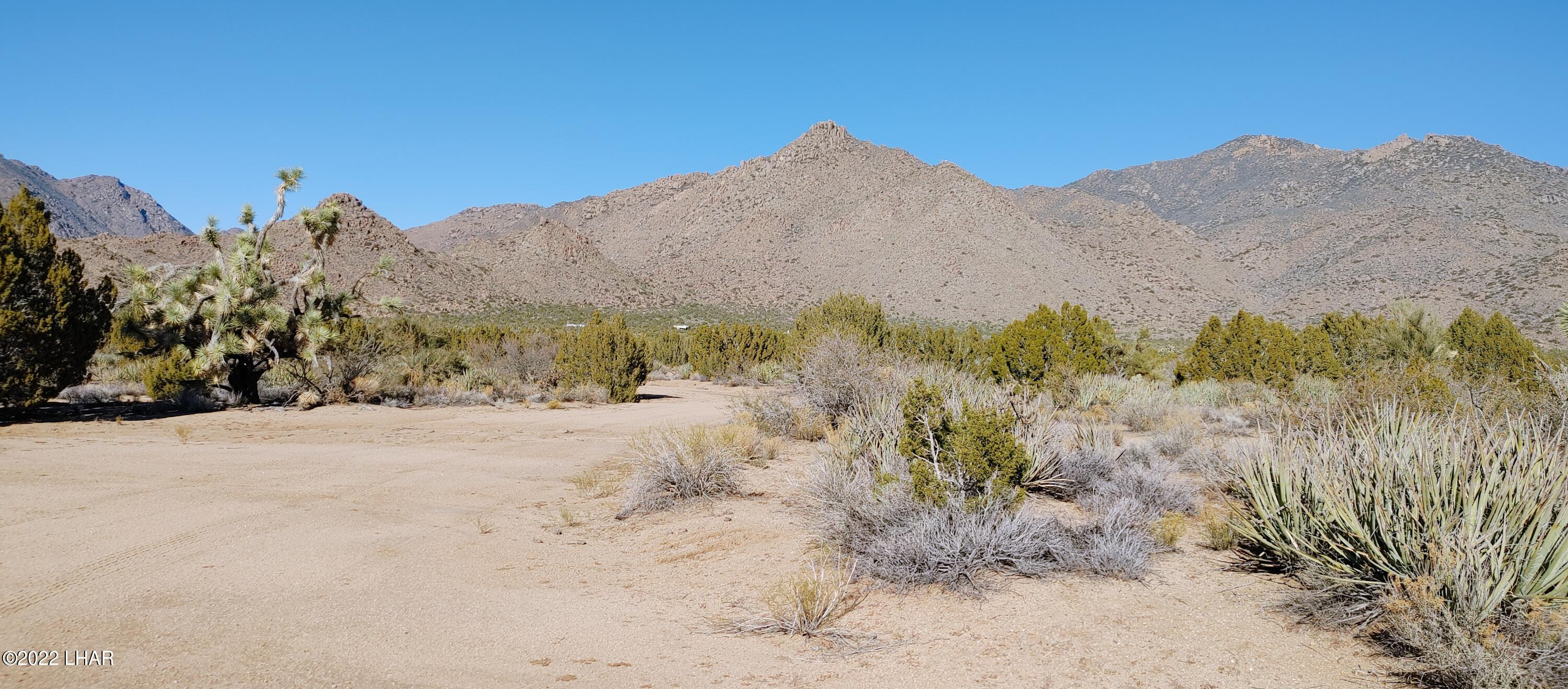 3289 South Gold Mine Road Yucca, AZ 86438 - Photo 45 of 74 1210221348c