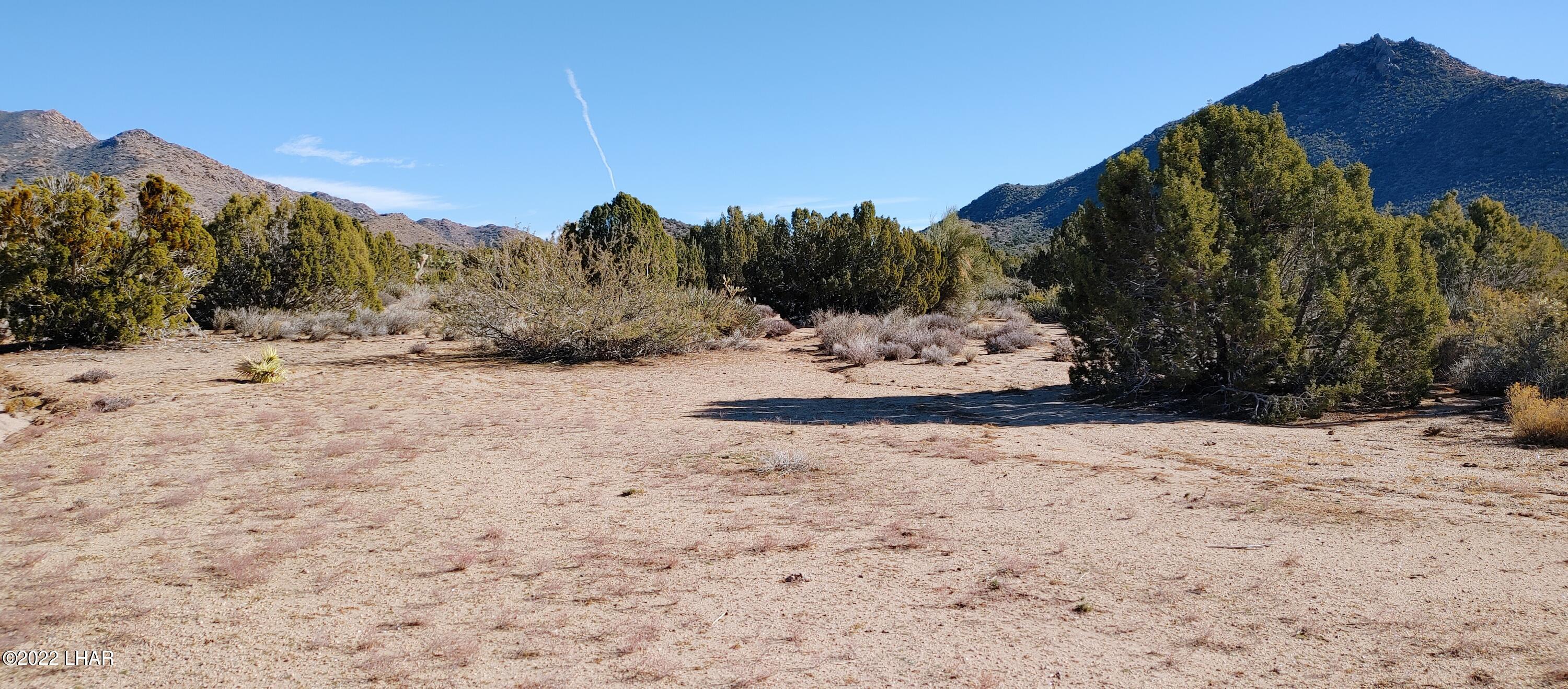 3289 South Gold Mine Road Yucca, AZ 86438 - Photo 46 of 74 1210221348e