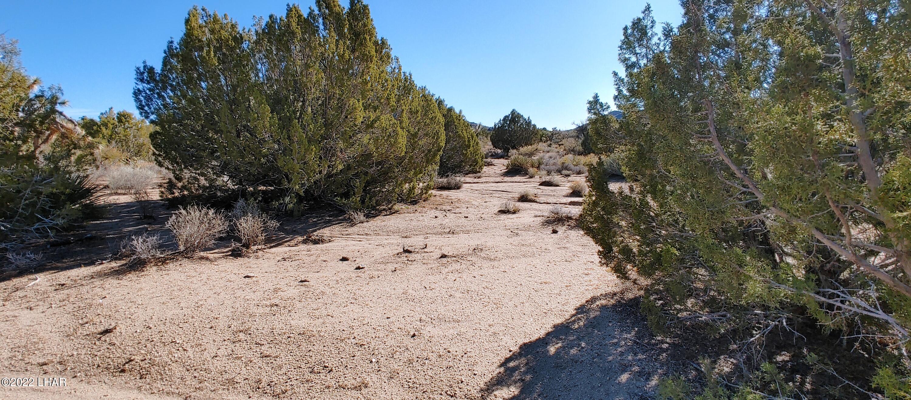 3289 South Gold Mine Road Yucca, AZ 86438 - Photo 47 of 74 1210221349_HDR