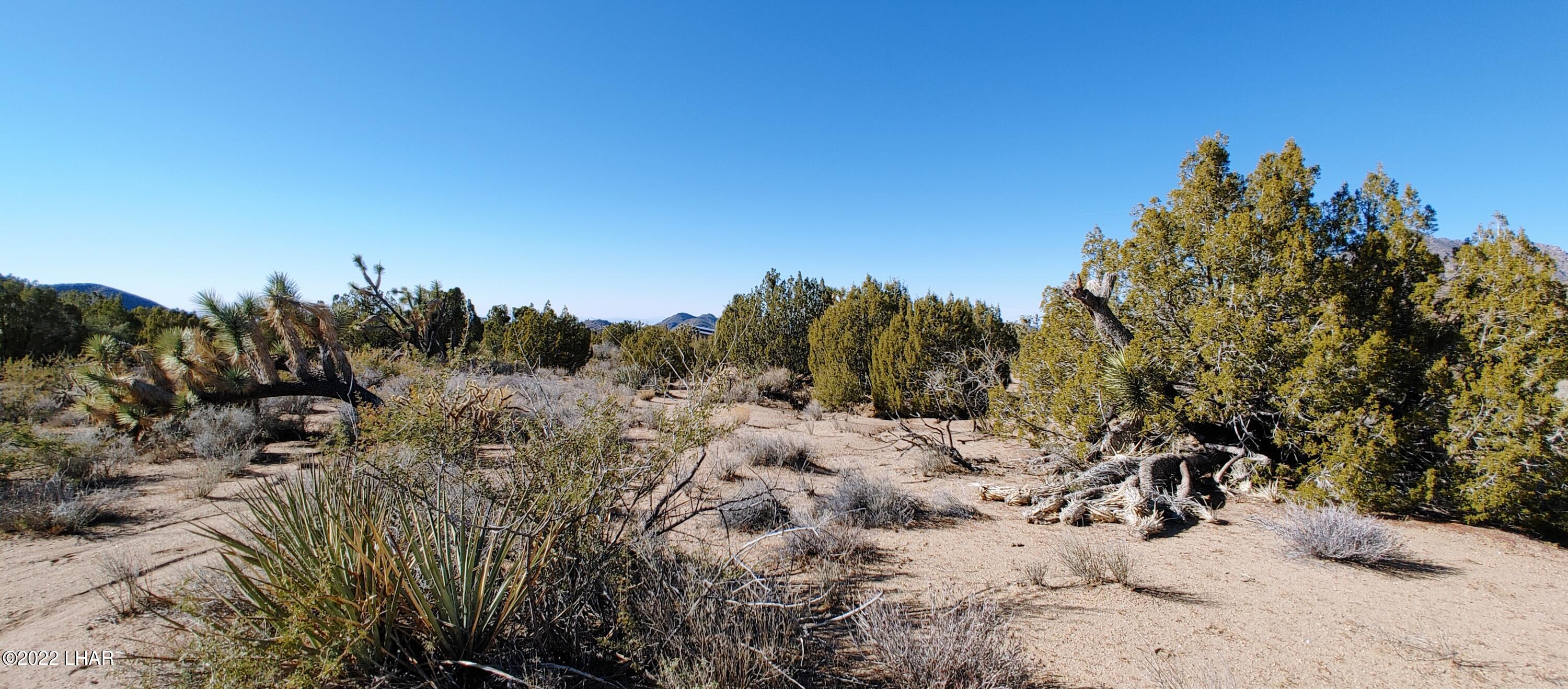3289 South Gold Mine Road Yucca, AZ 86438 - Photo 50 of 74 1210221350