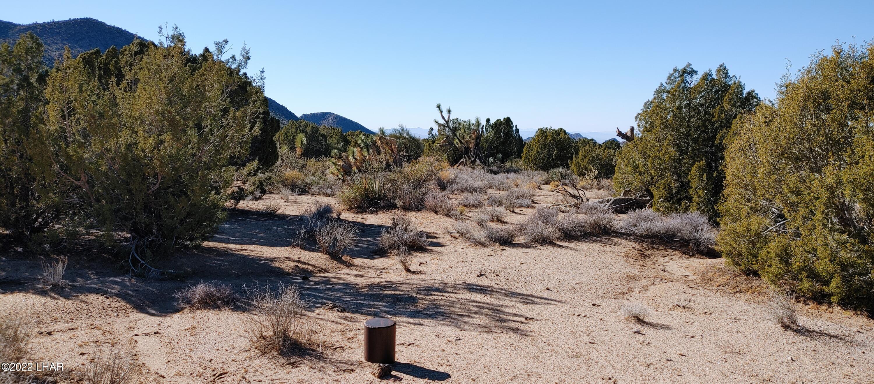 3289 South Gold Mine Road Yucca, AZ 86438 - Photo 5 of 74 Well and septic installed