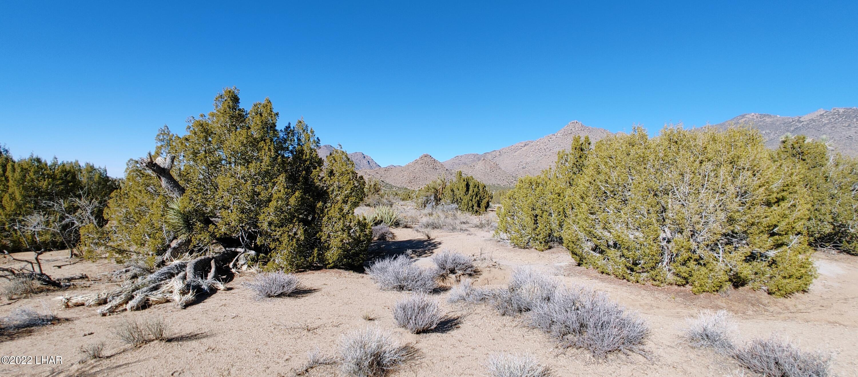 3289 South Gold Mine Road Yucca, AZ 86438 - Photo 51 of 74 1210221350a