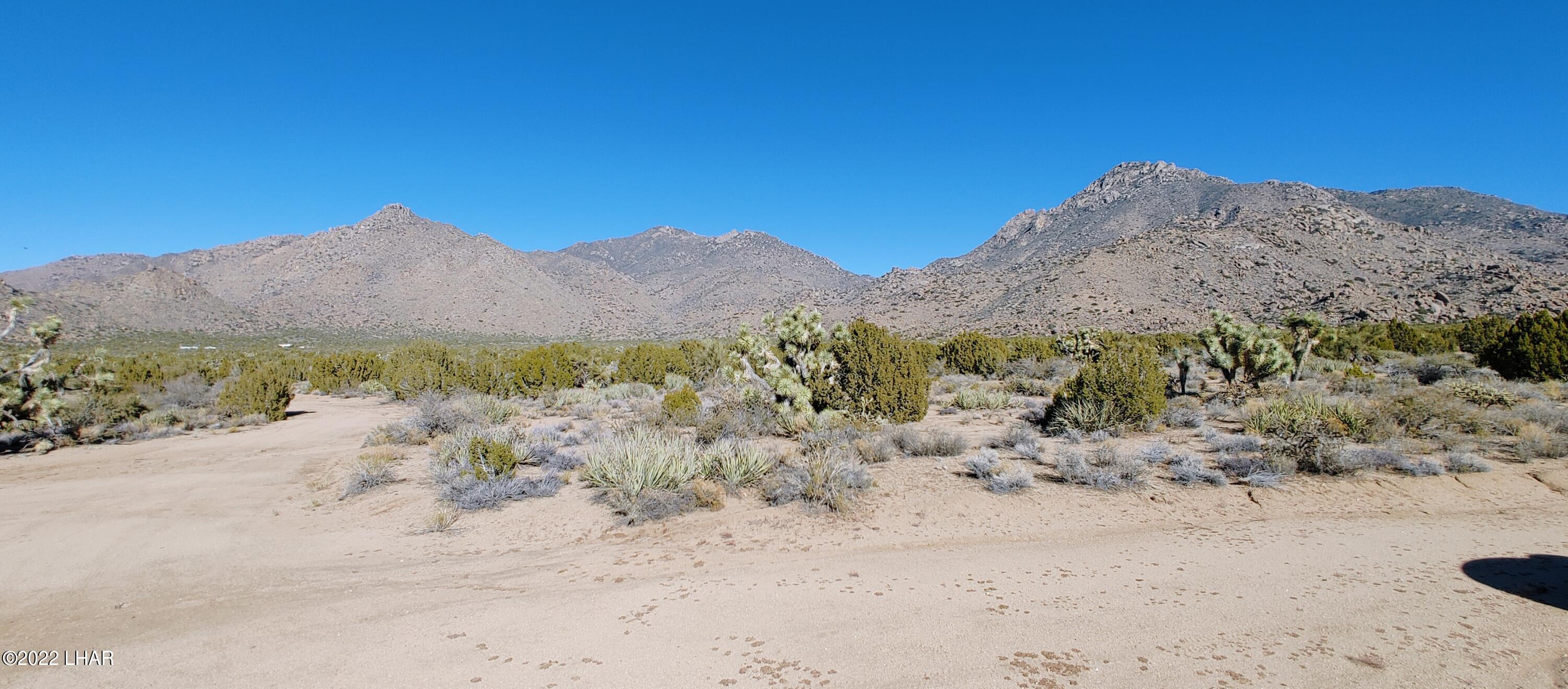 3289 South Gold Mine Road Yucca, AZ 86438 - Photo 52 of 74 1210221351b