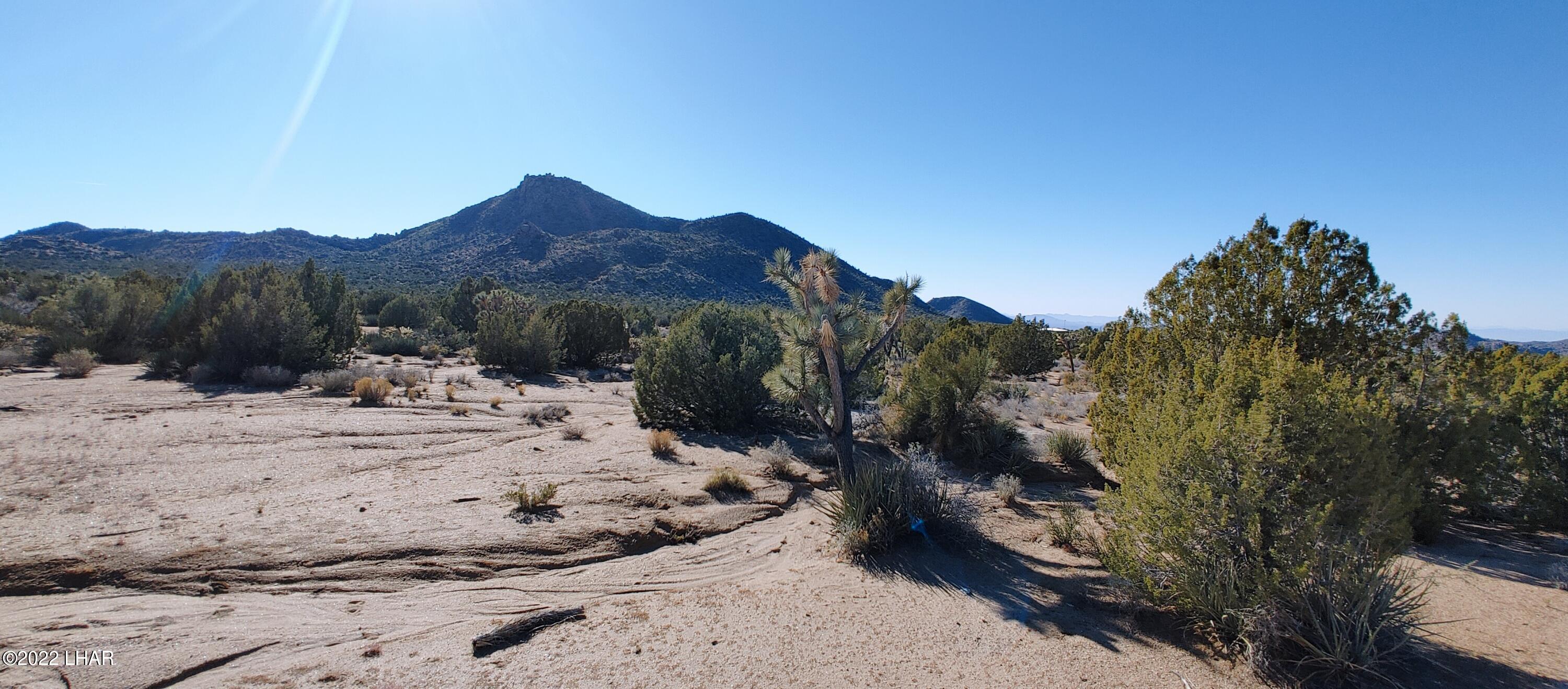 3289 South Gold Mine Road Yucca, AZ 86438 - Photo 55 of 74 1210221351e