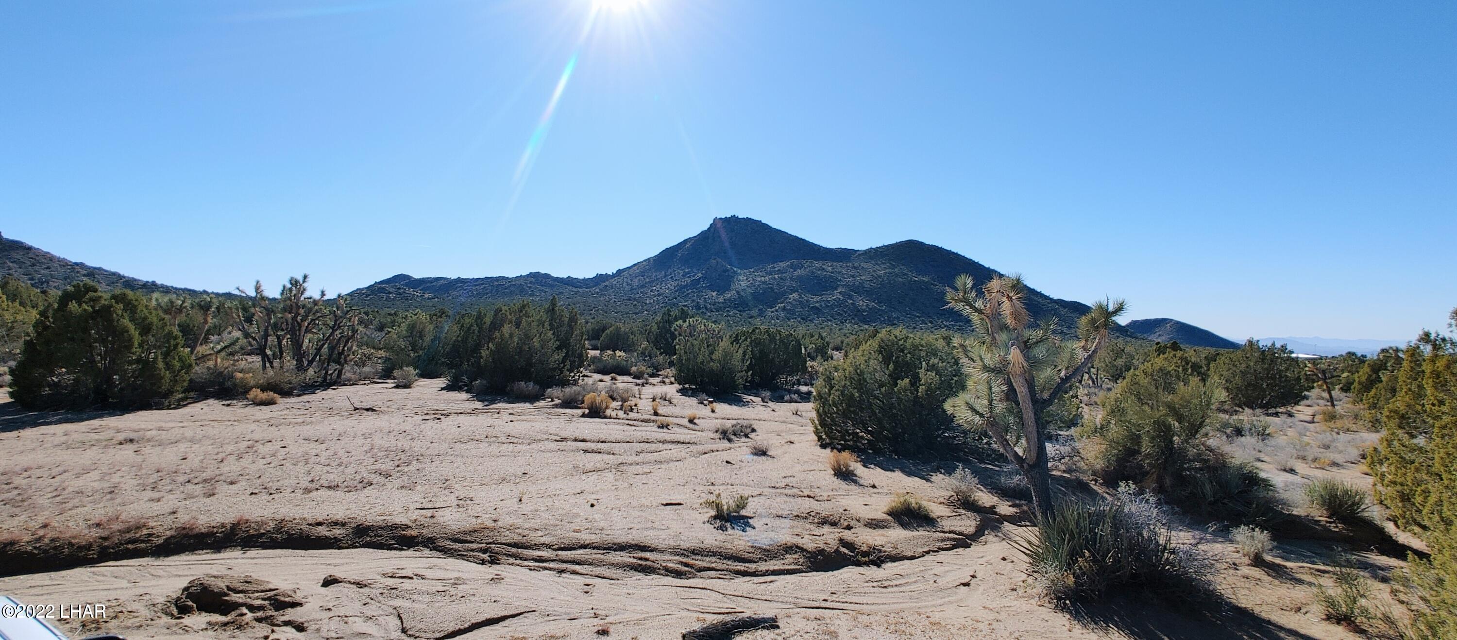 3289 South Gold Mine Road Yucca, AZ 86438 - Photo 56 of 74 1210221351f