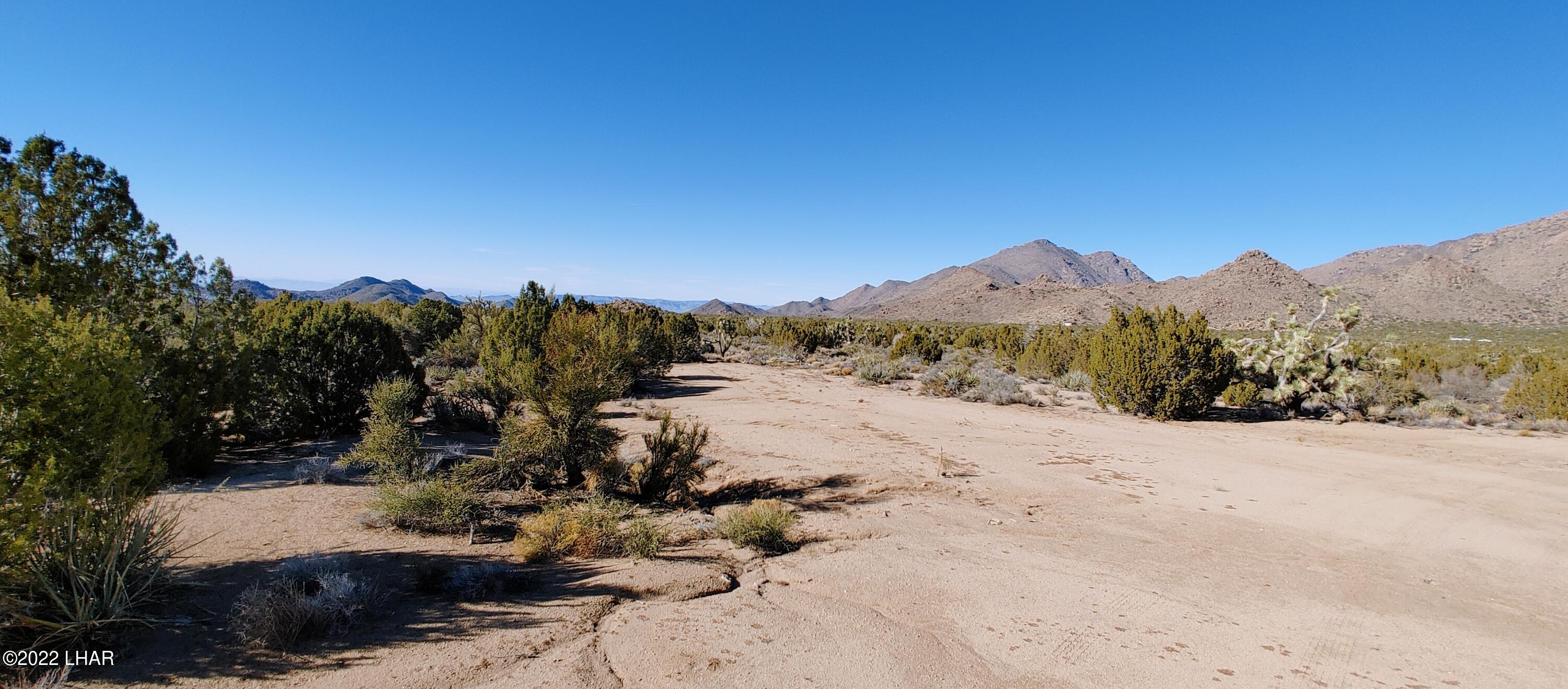 3289 South Gold Mine Road Yucca, AZ 86438 - Photo 58 of 74 1210221351h