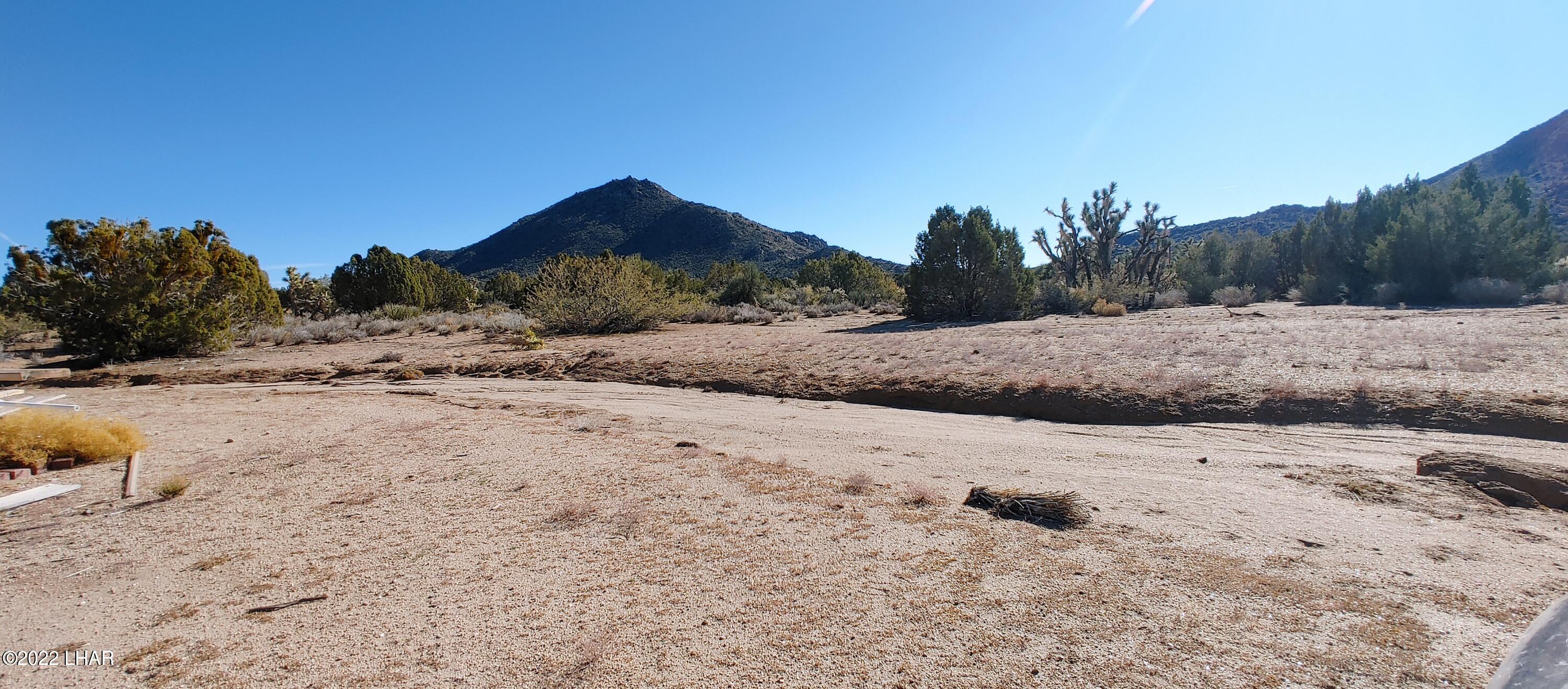 3289 South Gold Mine Road Yucca, AZ 86438 - Photo 59 of 74 1210221352_HDR