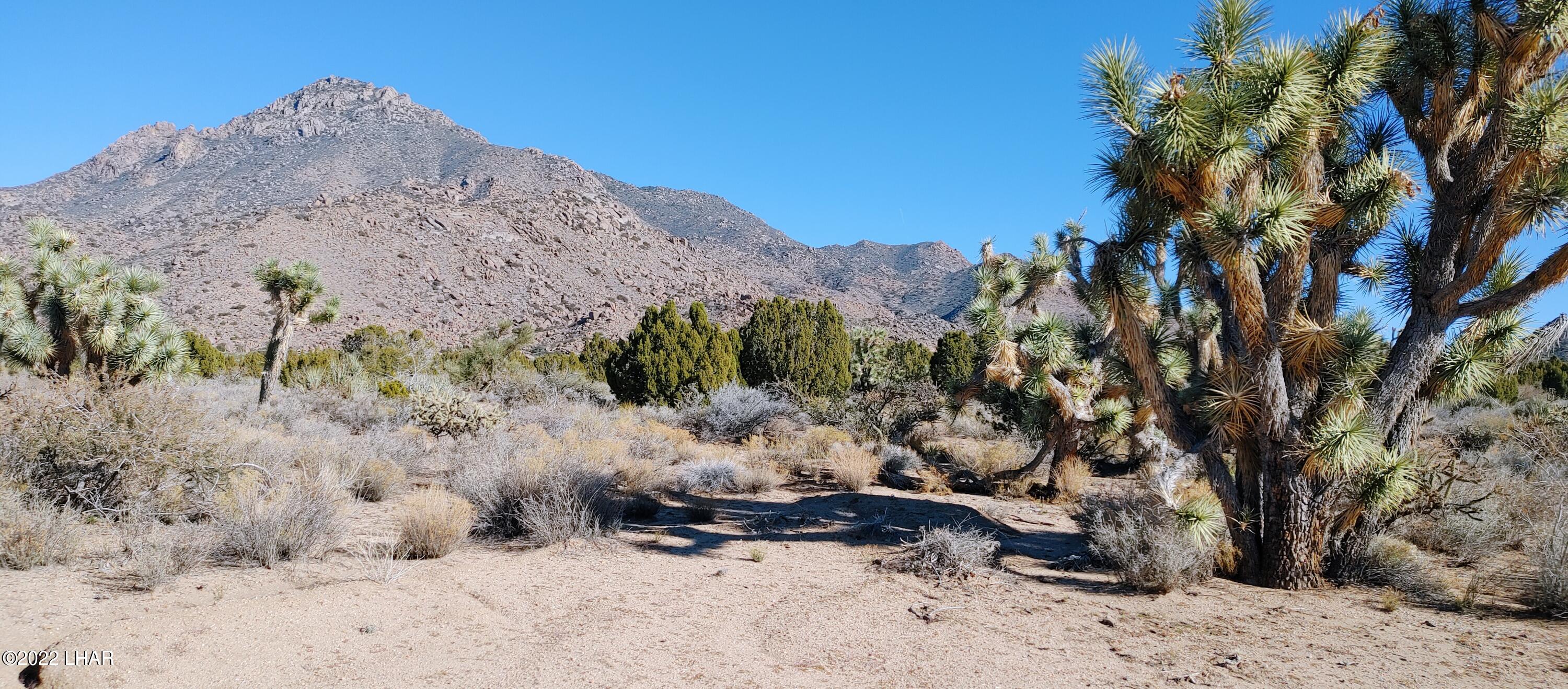3289 South Gold Mine Road Yucca, AZ 86438 - Photo 60 of 74 1210221356