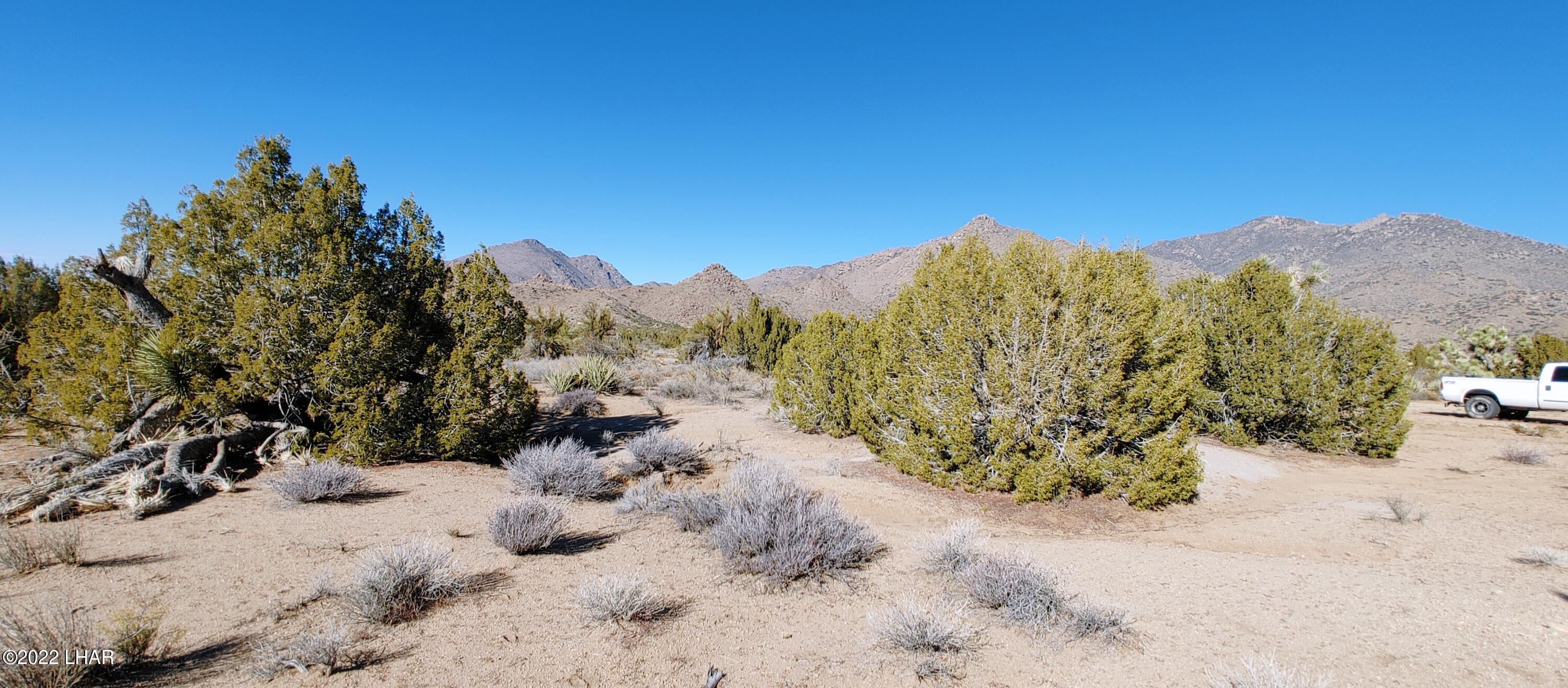 3289 South Gold Mine Road Yucca, AZ 86438 - Photo 6 of 74 Junipers and amazing views