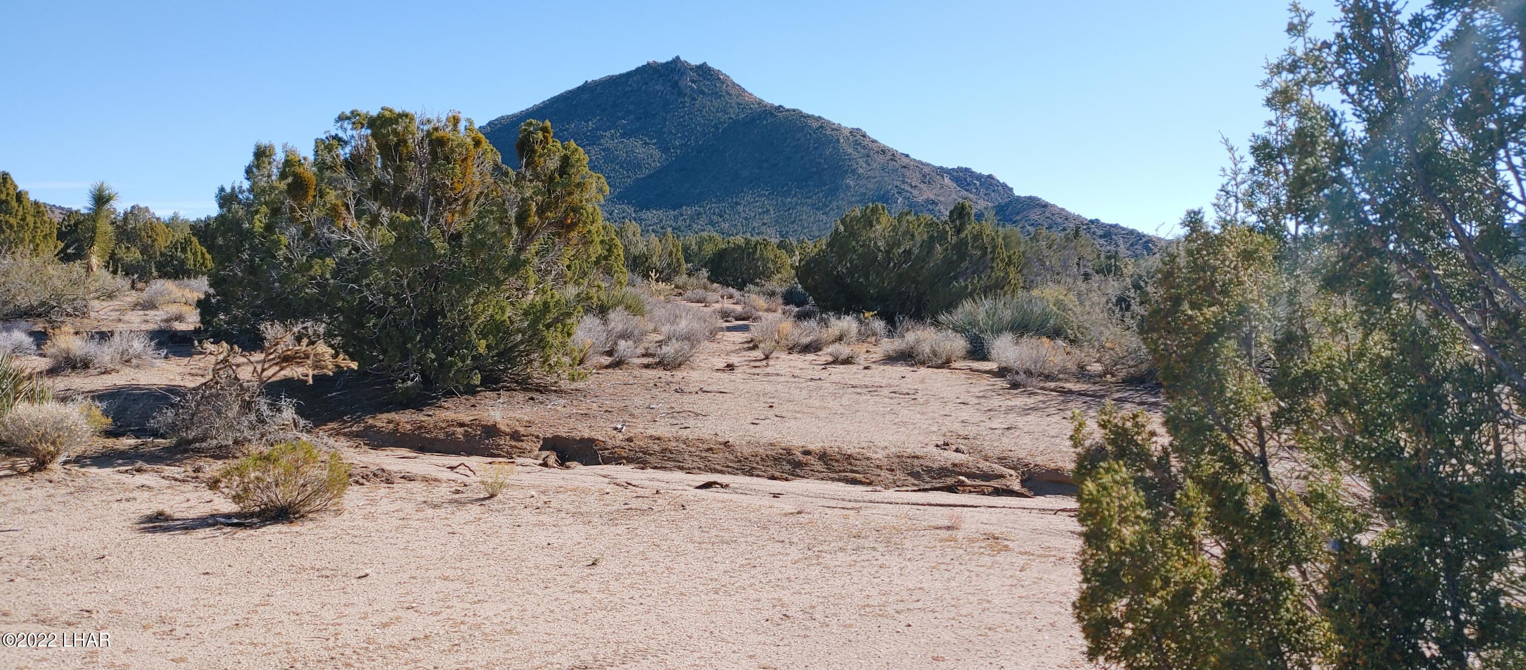 3289 South Gold Mine Road Yucca, AZ 86438 - Photo 61 of 74 1210221356a