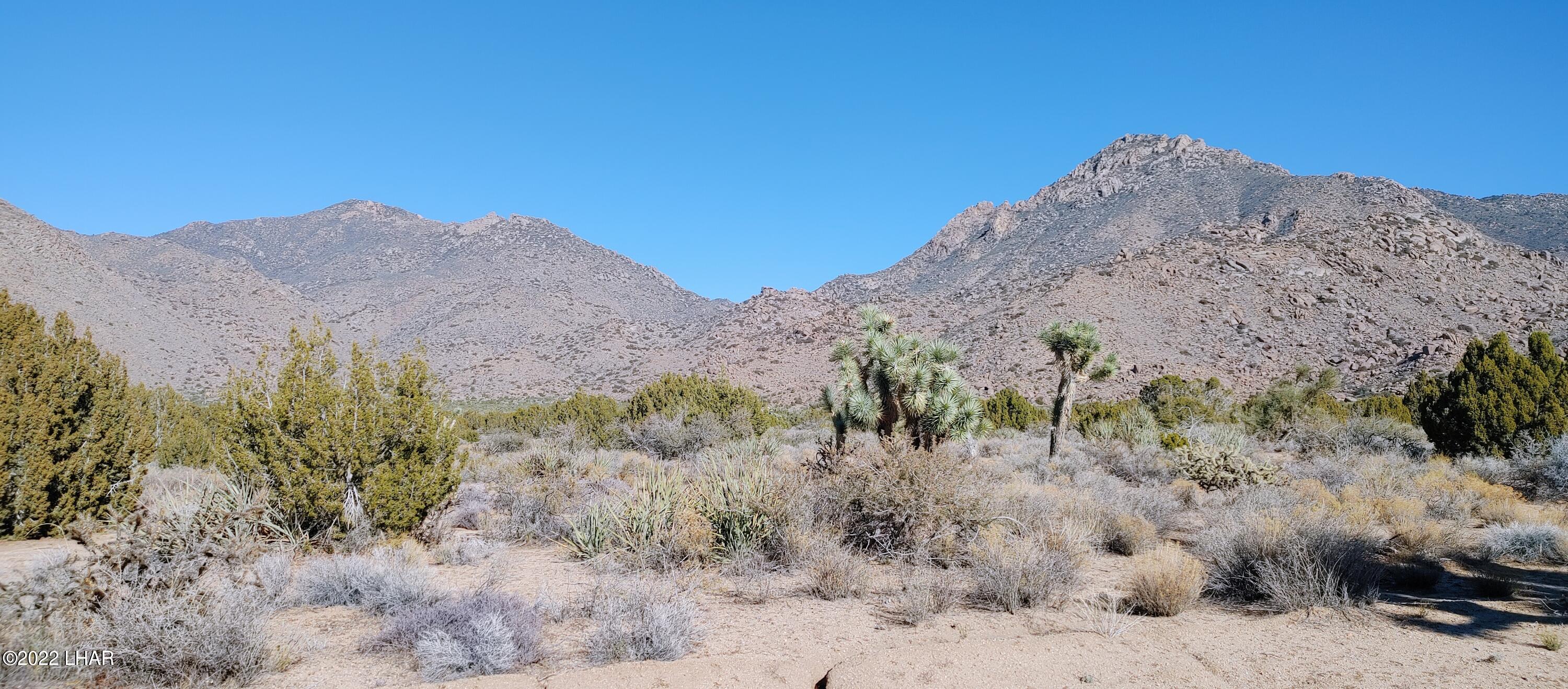 3289 South Gold Mine Road Yucca, AZ 86438 - Photo 63 of 74 1210221356c
