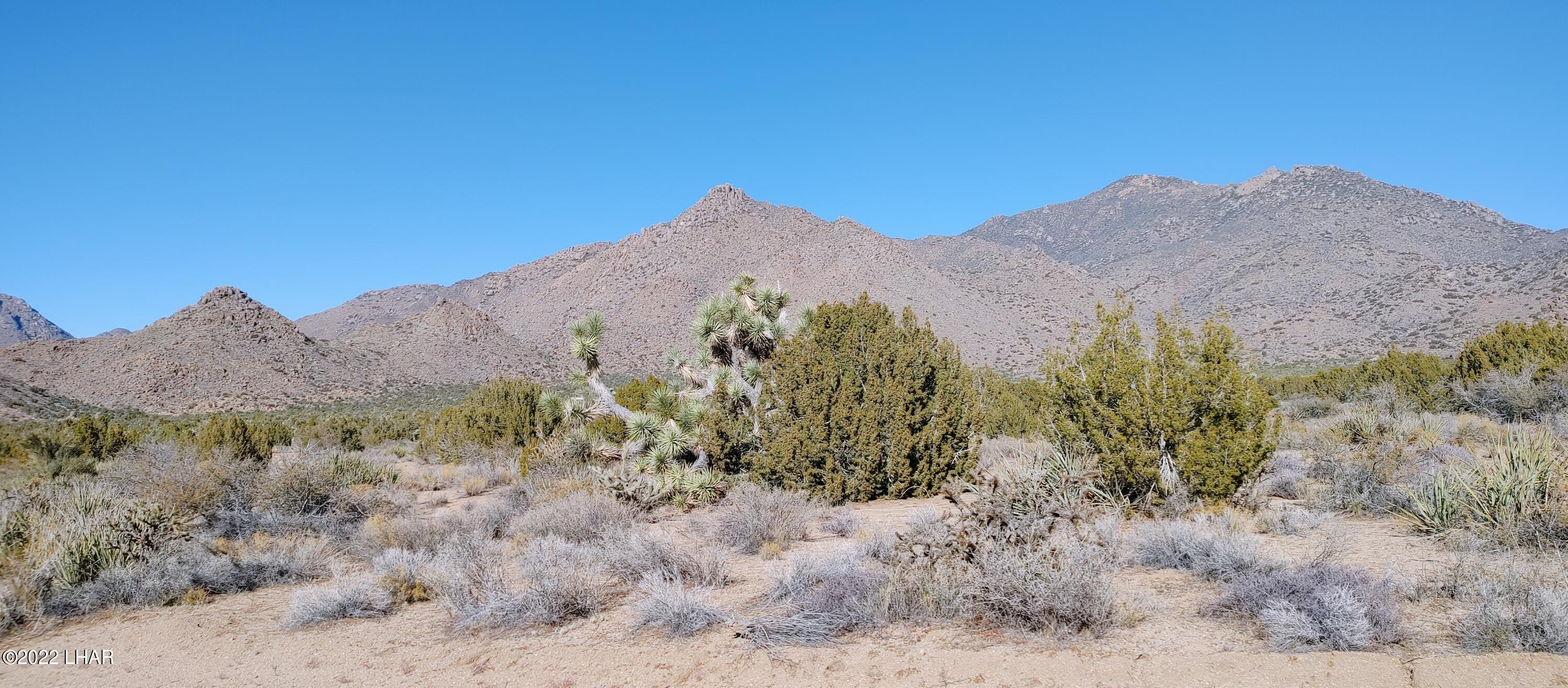 3289 South Gold Mine Road Yucca, AZ 86438 - Photo 64 of 74 1210221356d