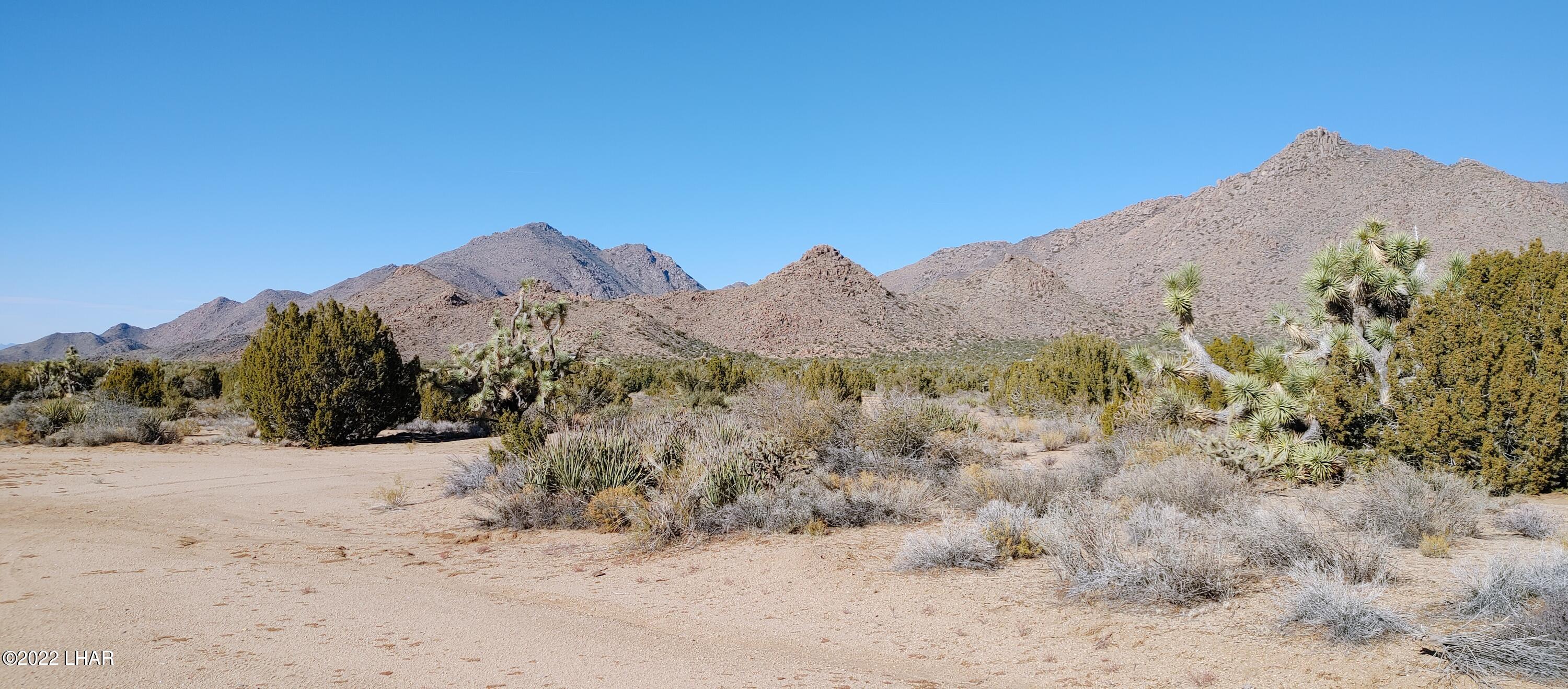 3289 South Gold Mine Road Yucca, AZ 86438 - Photo 65 of 74 1210221356e