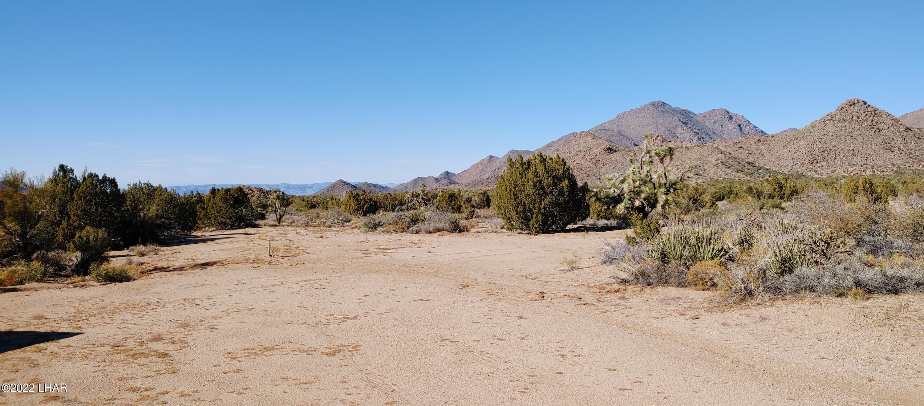3289 South Gold Mine Road Yucca, AZ 86438 - Photo 66 of 74 1210221356f